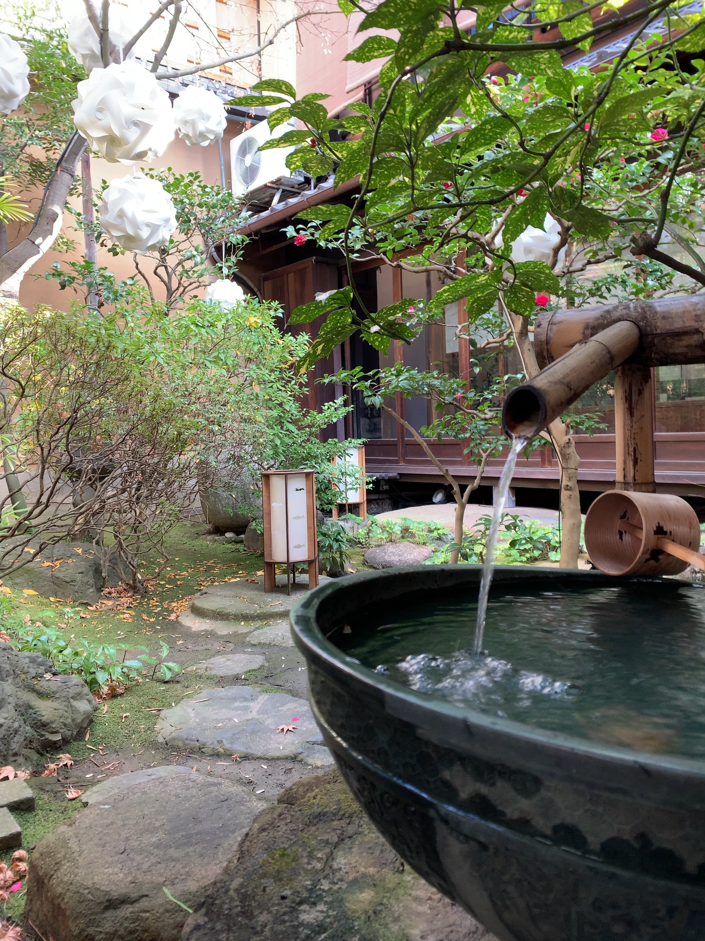 主屋の正面にある座敷庭