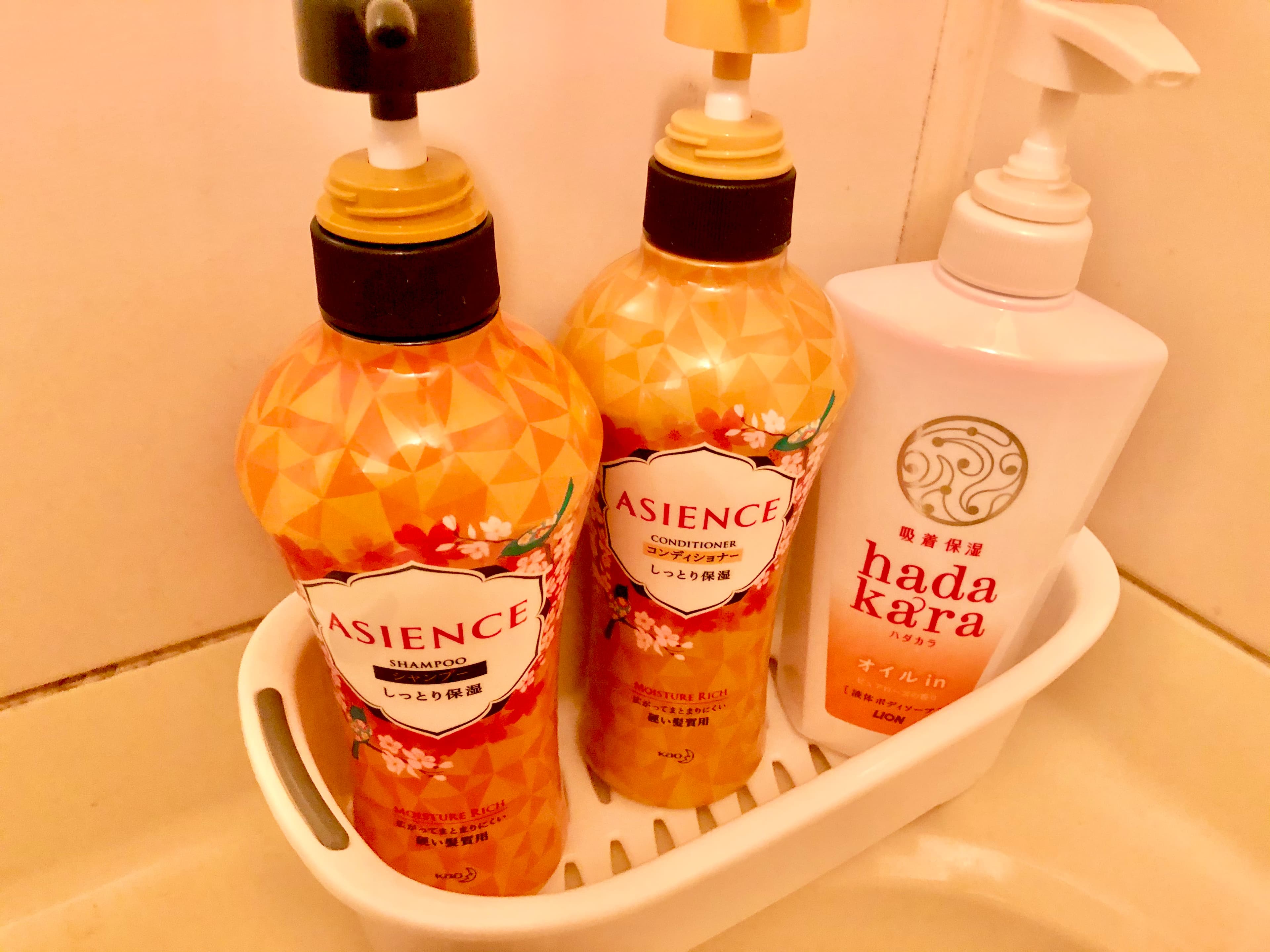 スペース画像 12