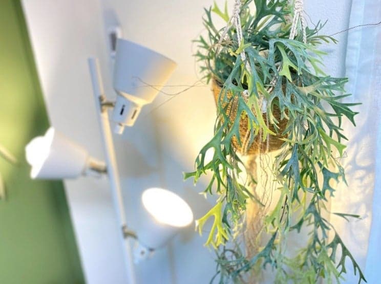 スペース画像 14