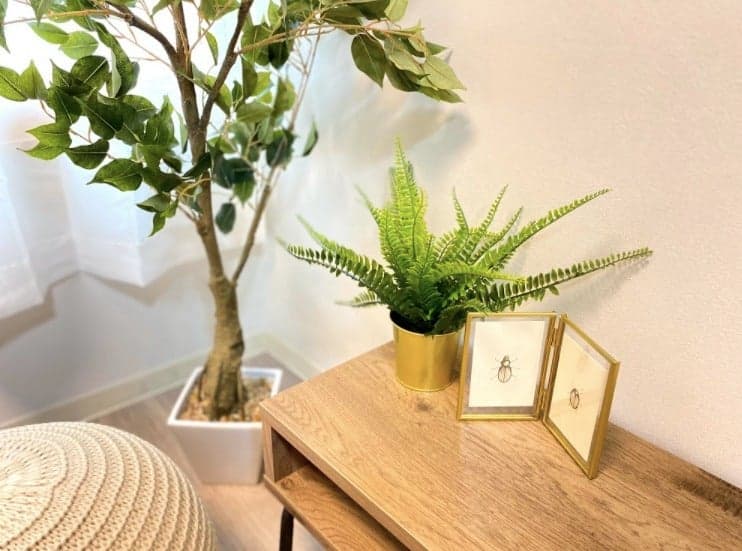 スペース画像 18