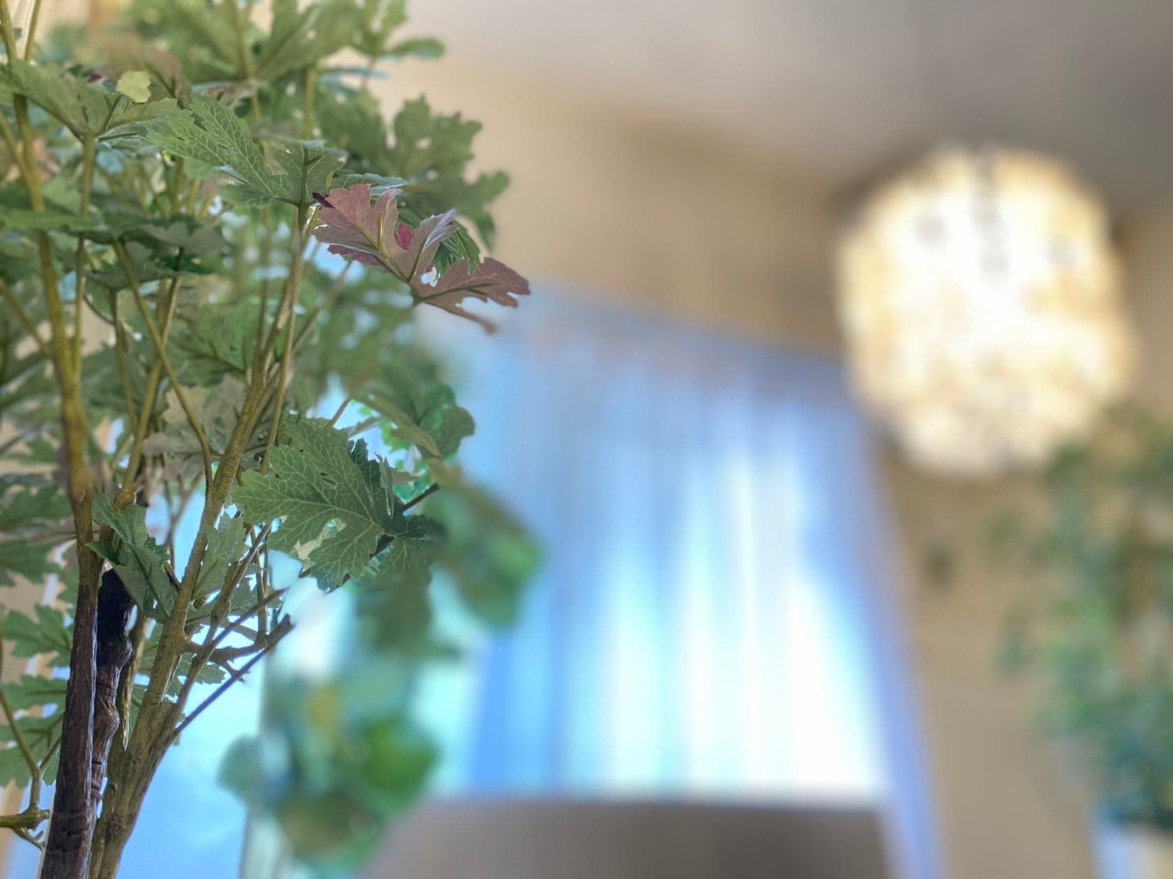 スペース画像 8