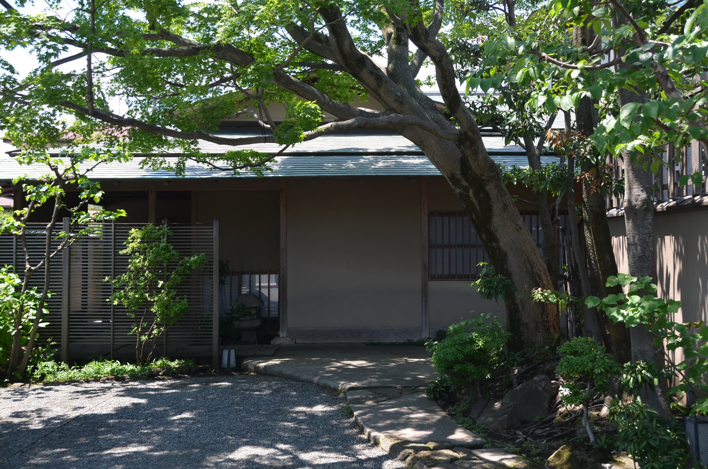 建物正面、紅葉の木がお出迎えします。