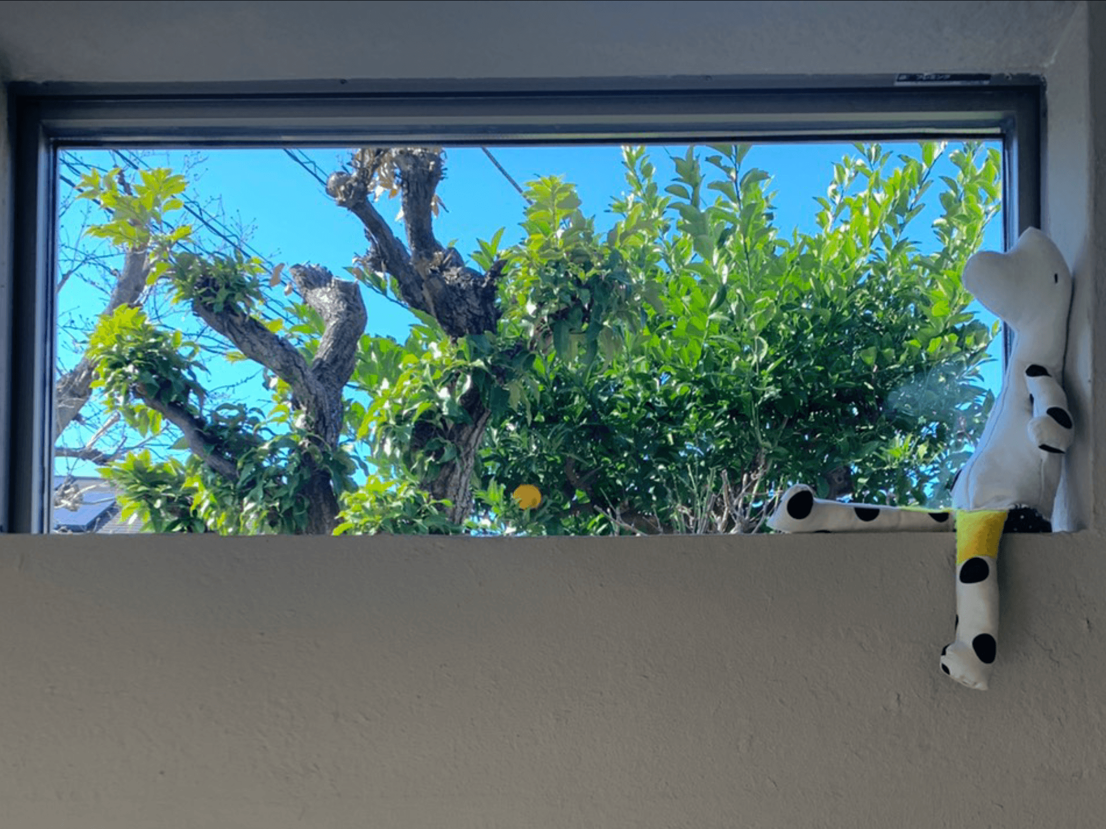 スペース画像 1