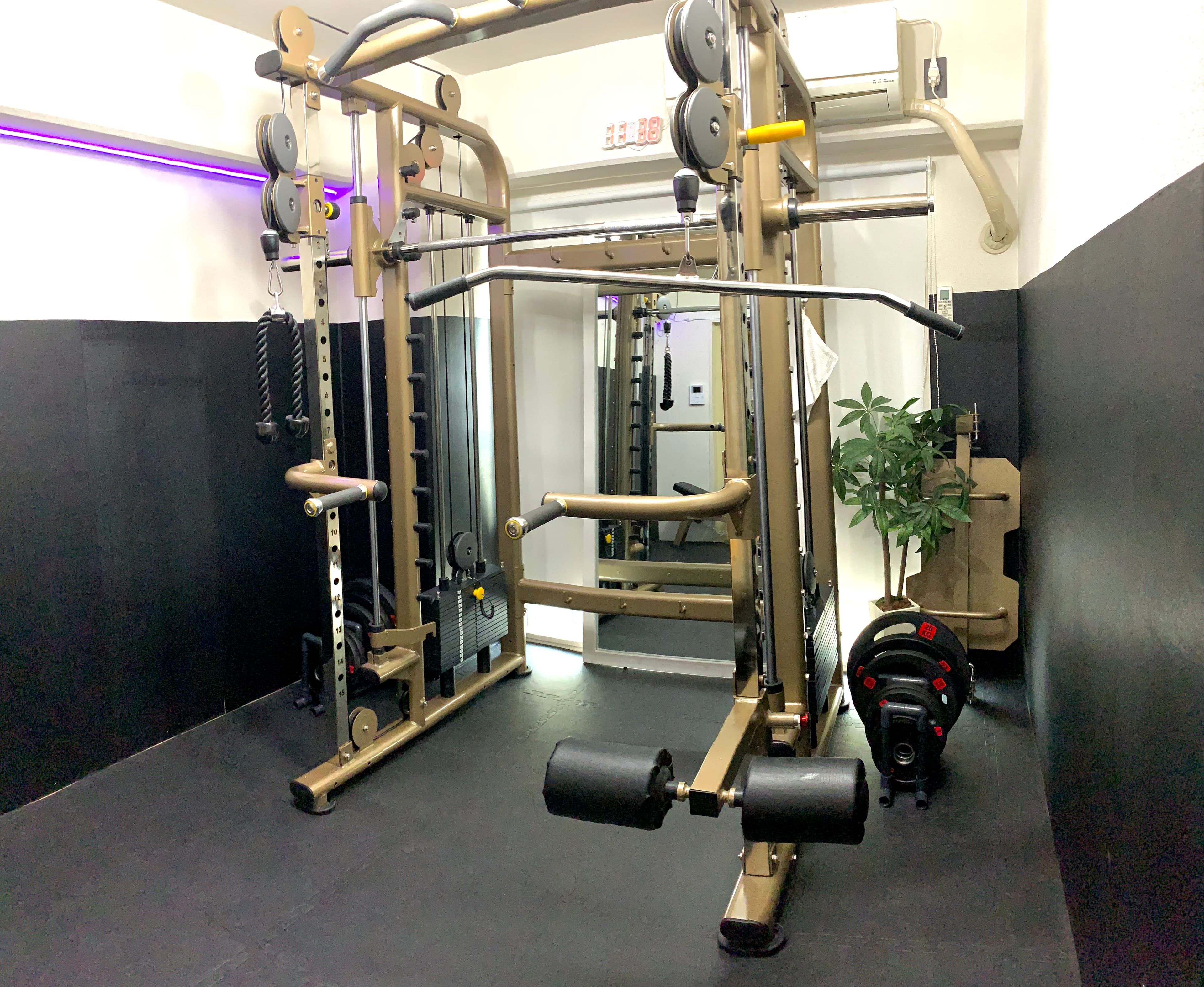 ケーブスプーリー、デイップス、ラットプル対応、