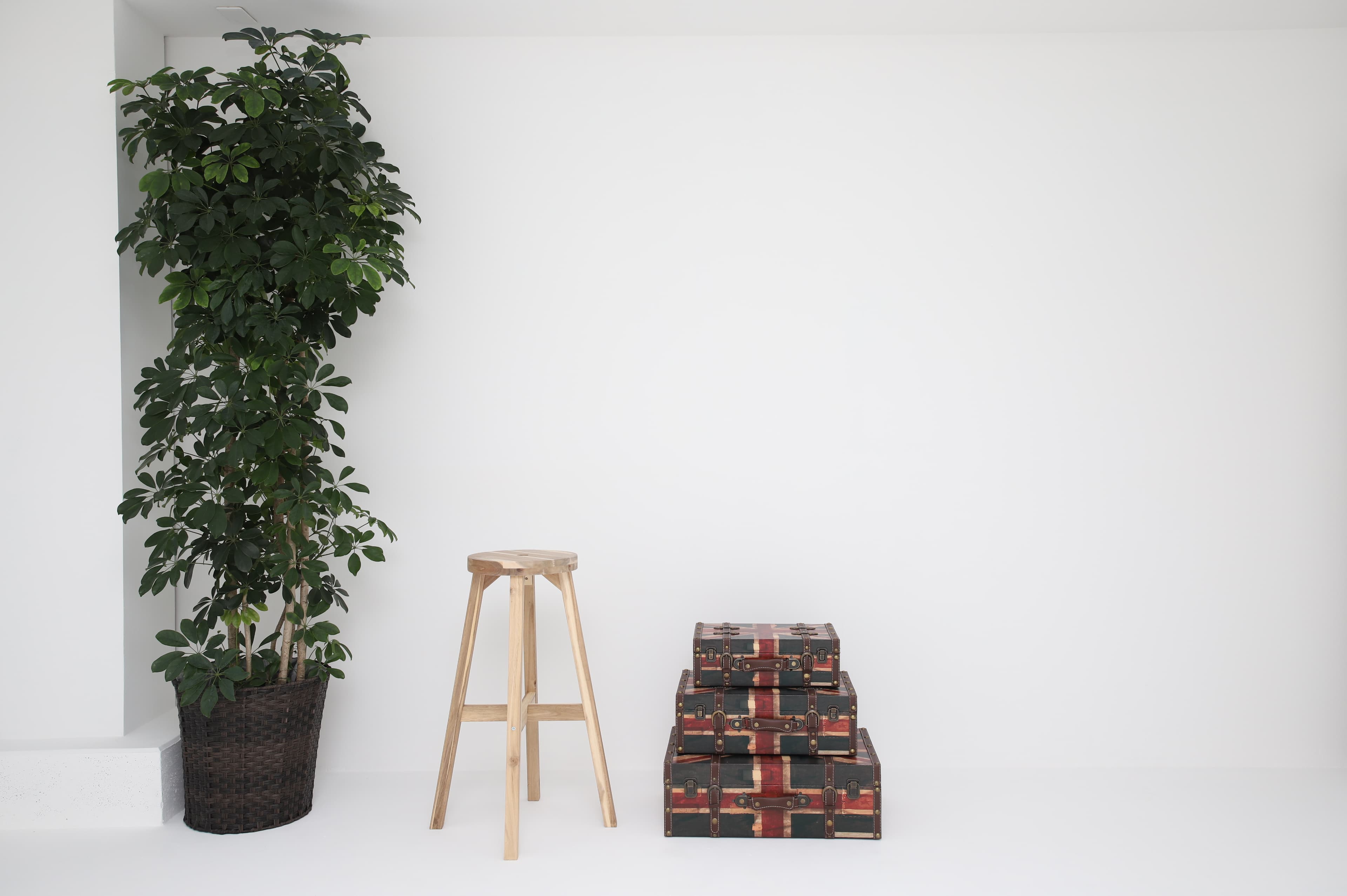 スペース画像 7