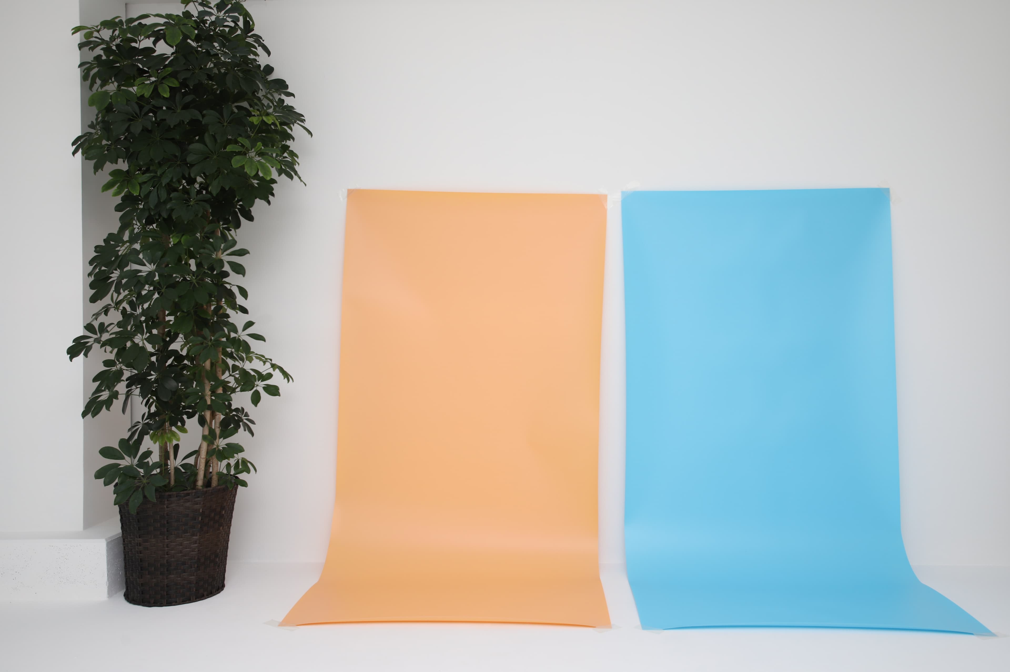 スペース画像 8