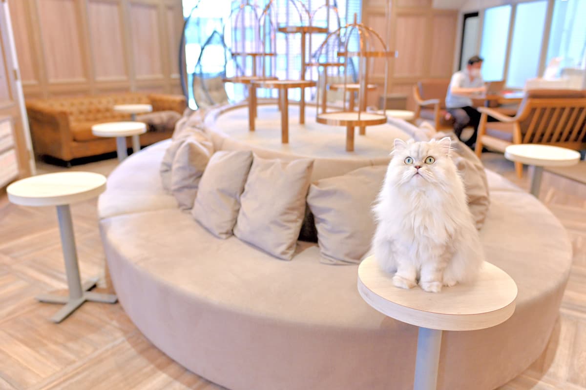 5Fの為外の騒音など聞こえません♪