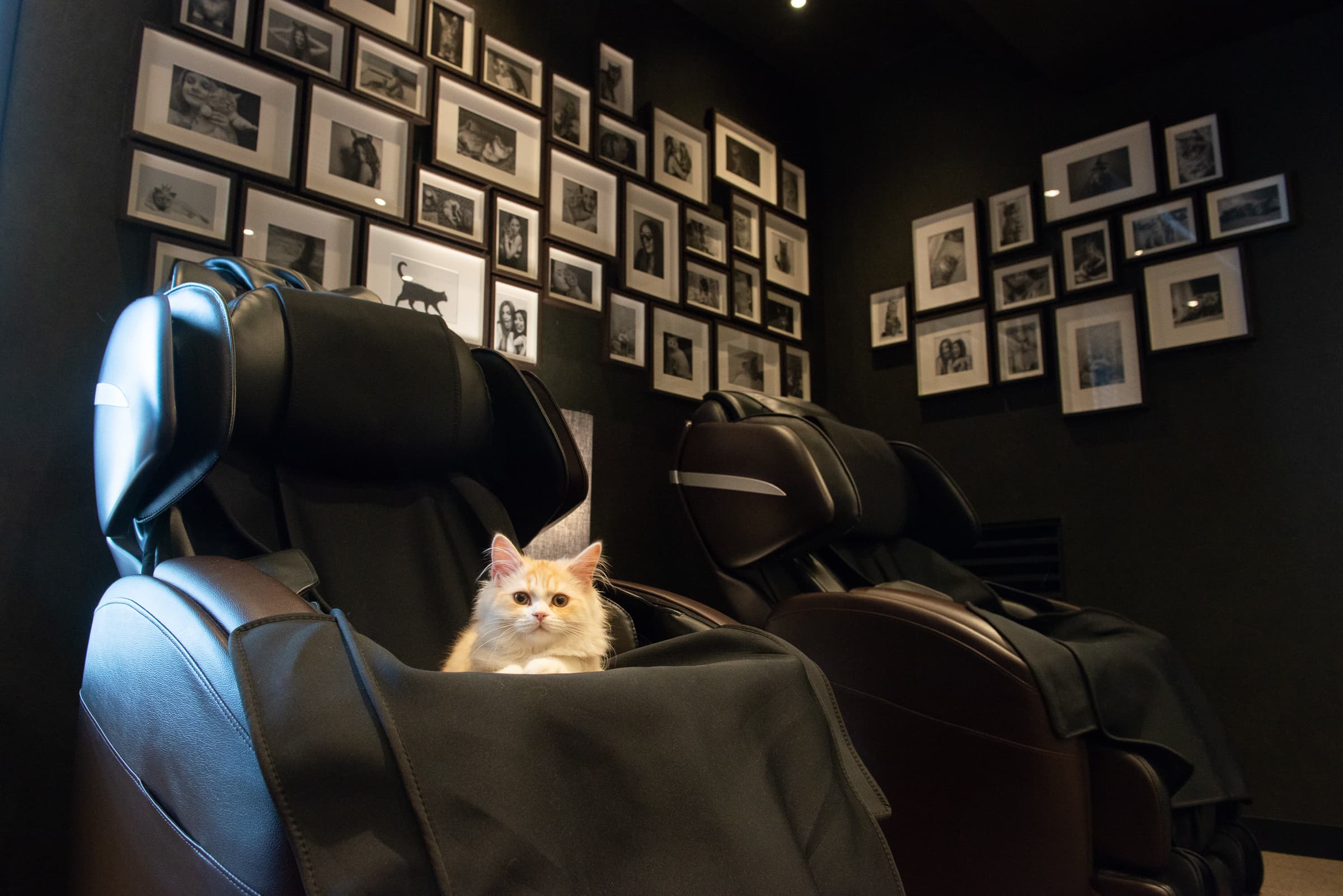 マッサージチェア3台完備しております!