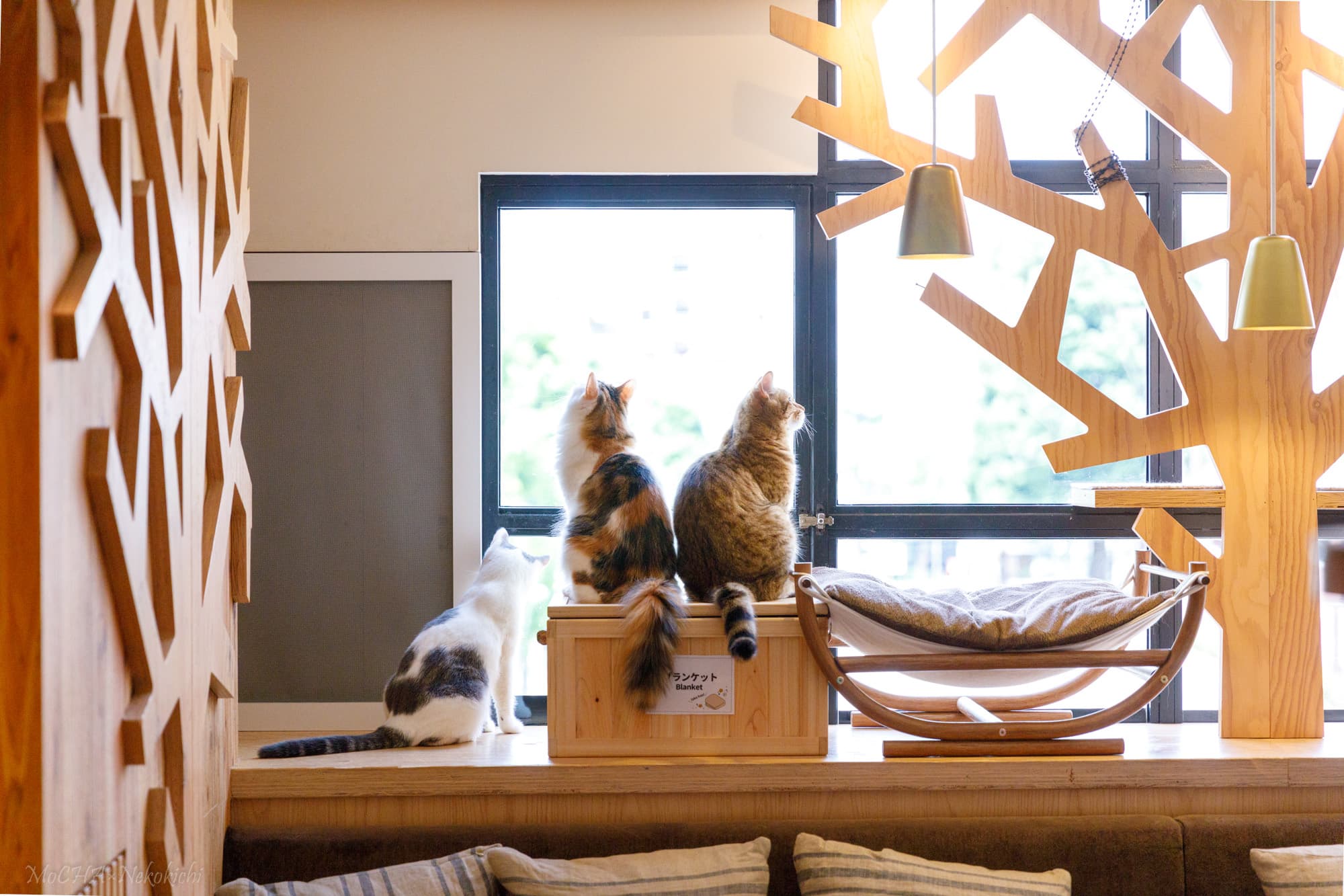 スペース画像 5