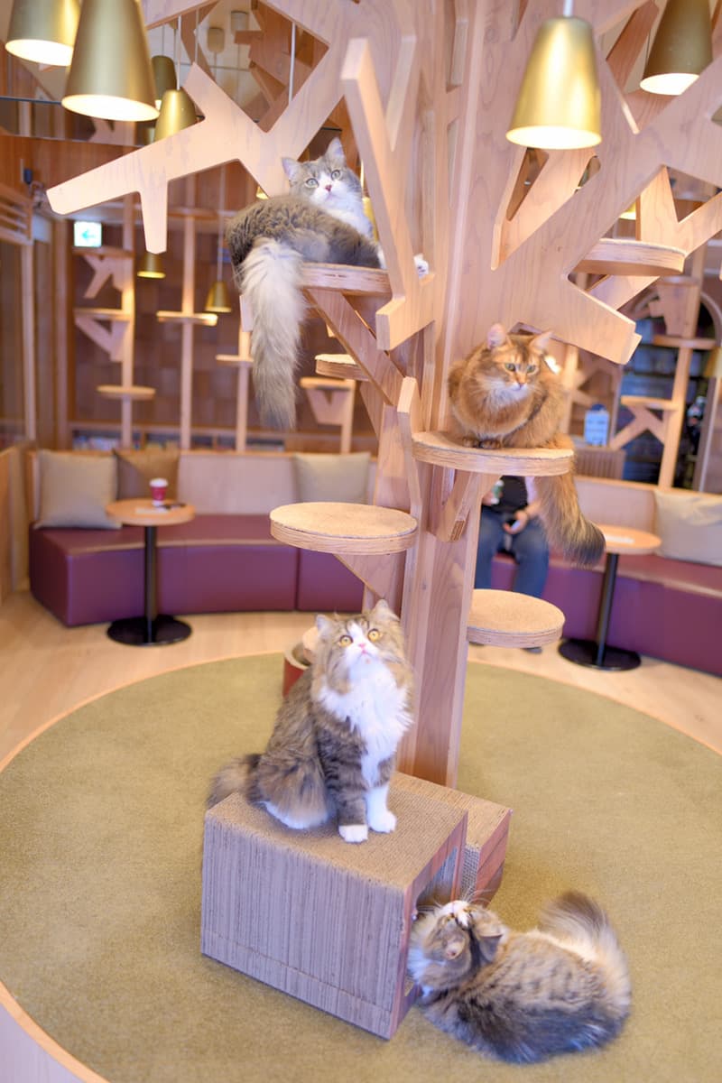 スペース画像 7