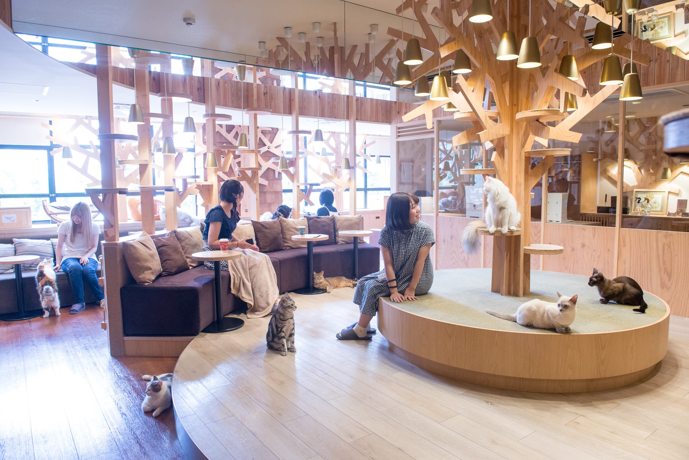 かわいい猫ちゃん達がお出迎えしてくれます♡?