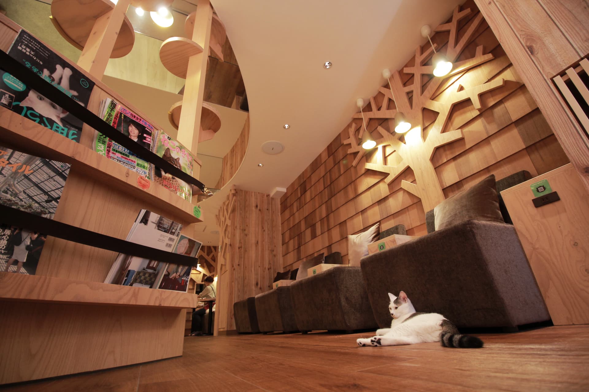 スペース画像 3