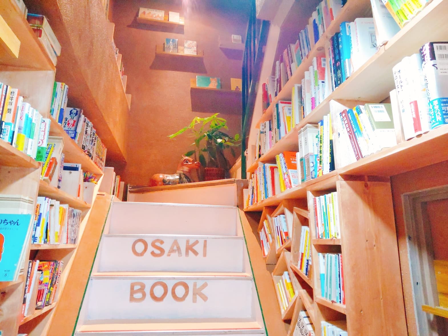 秘密基地のような階段書庫です。