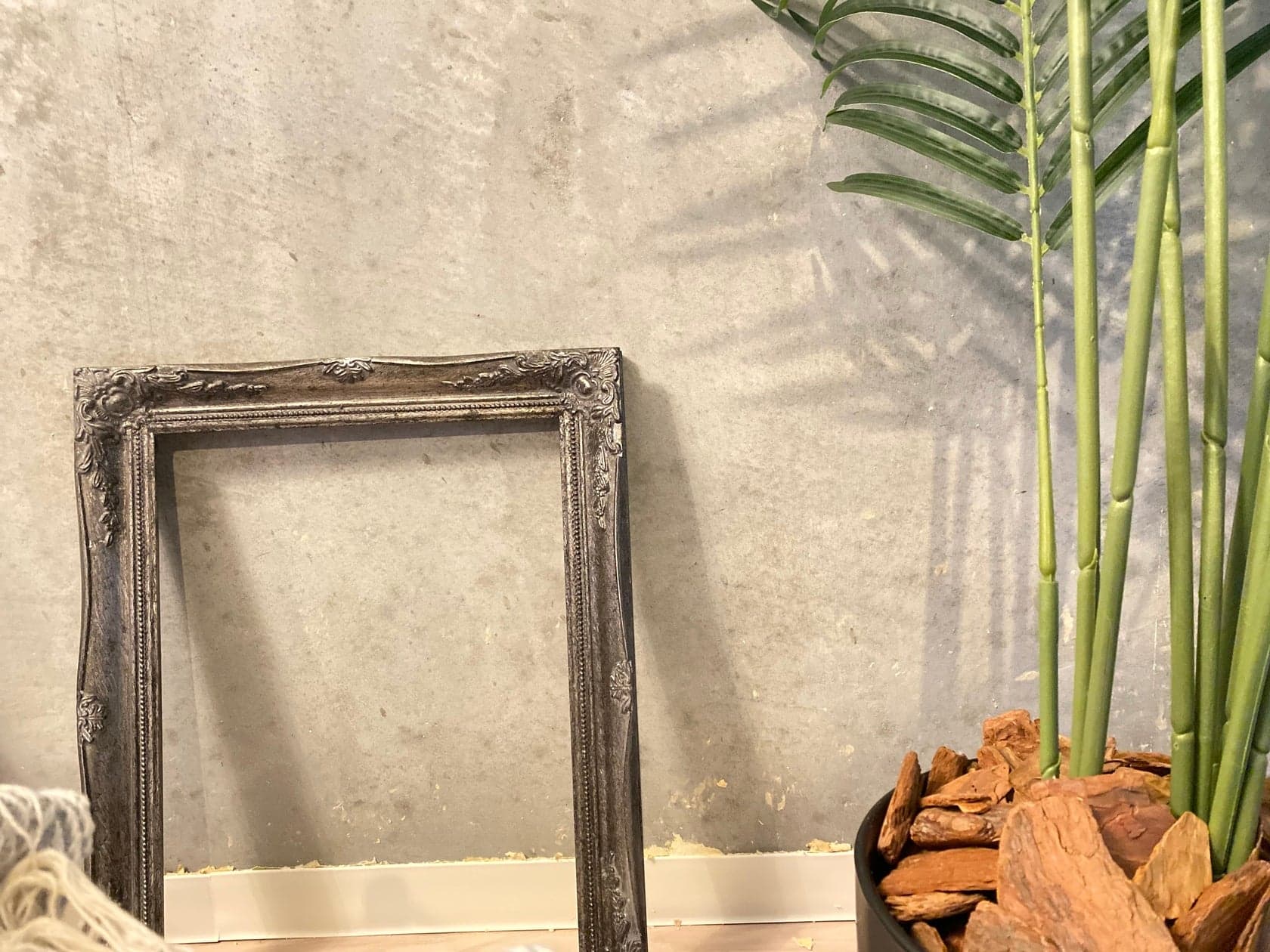 スペース画像 5