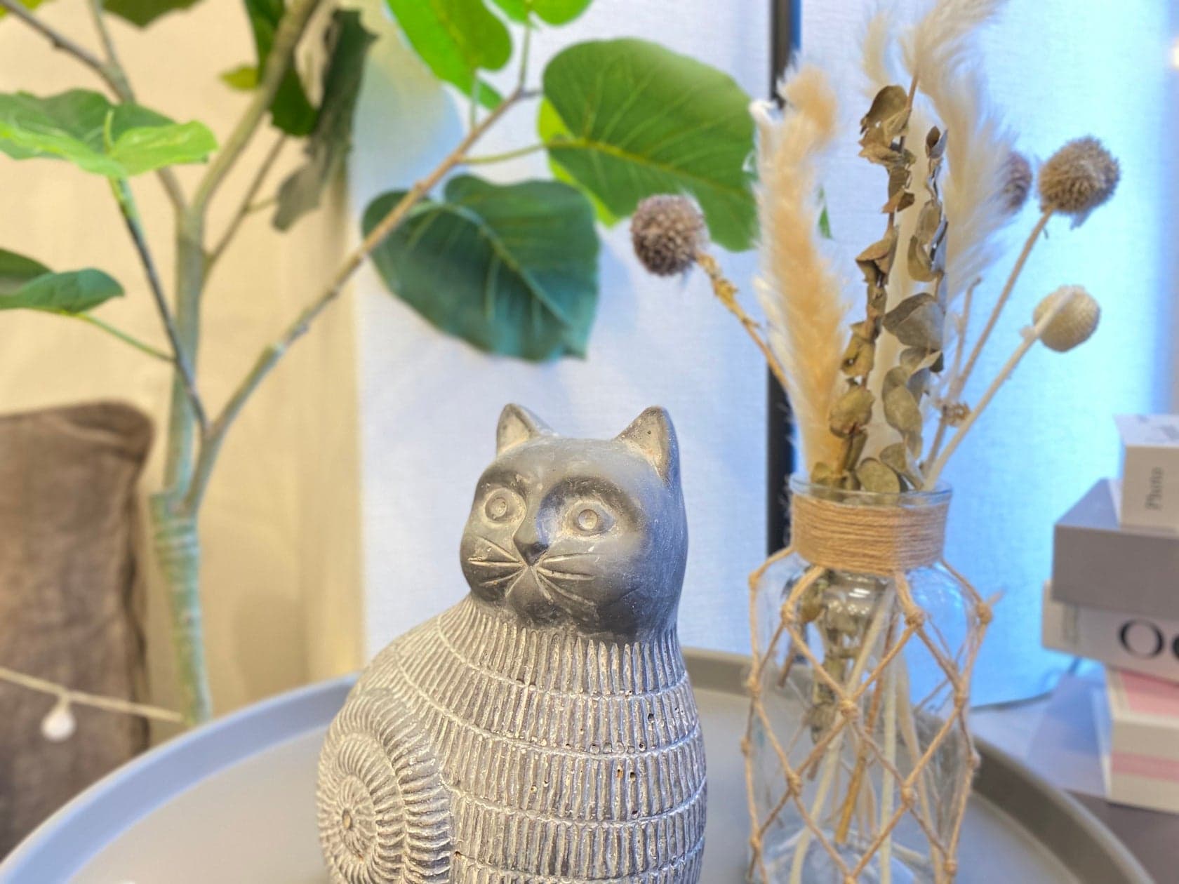 スペース画像 3