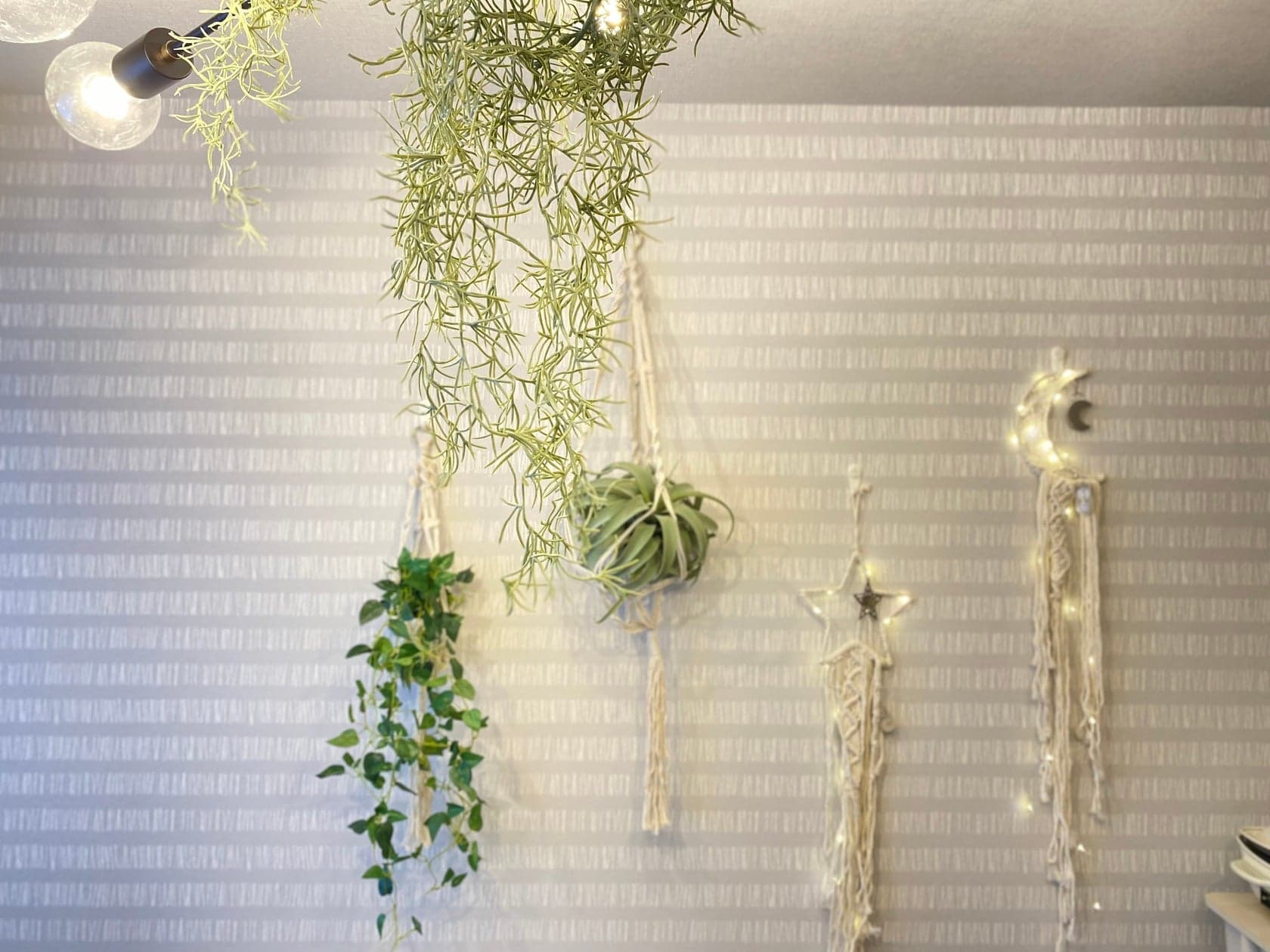 スペース画像 5