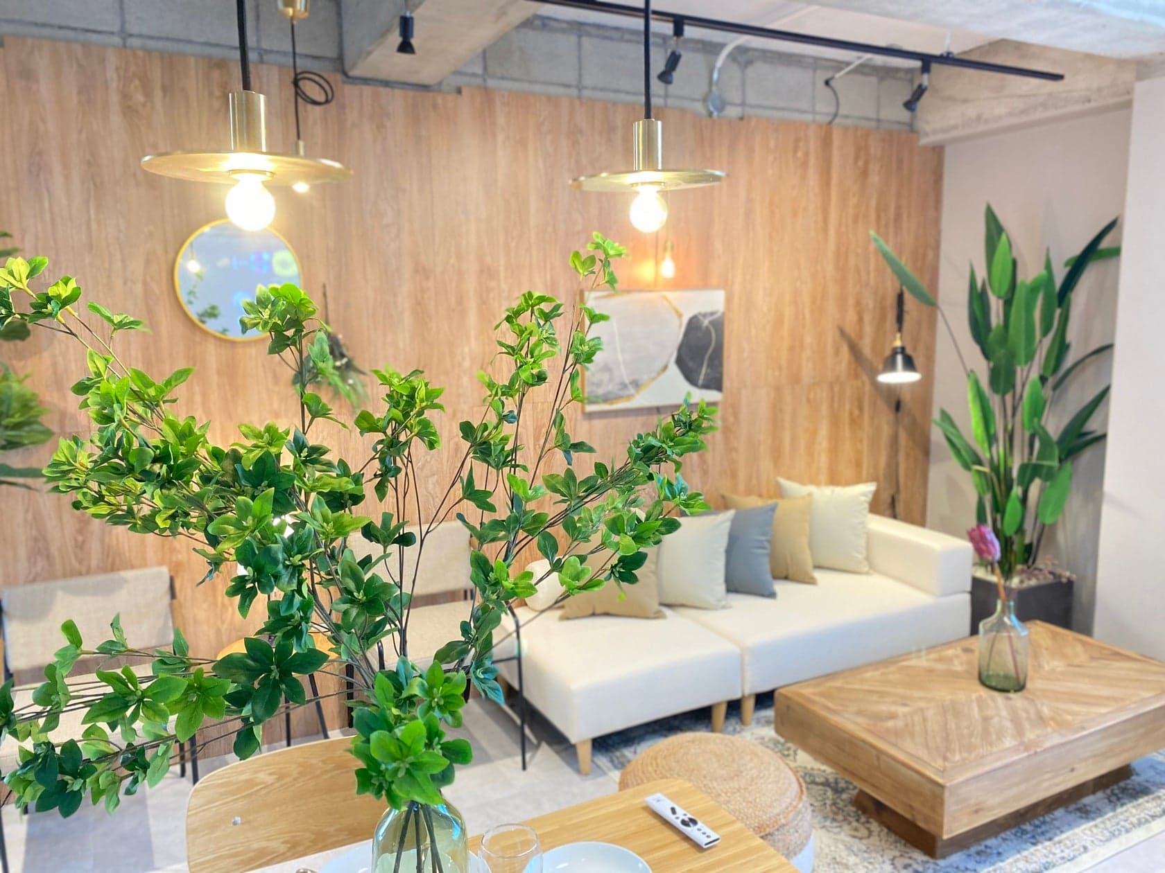 スペース画像 8