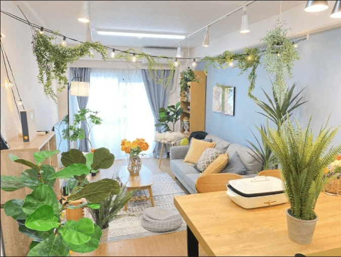 スペース画像 15