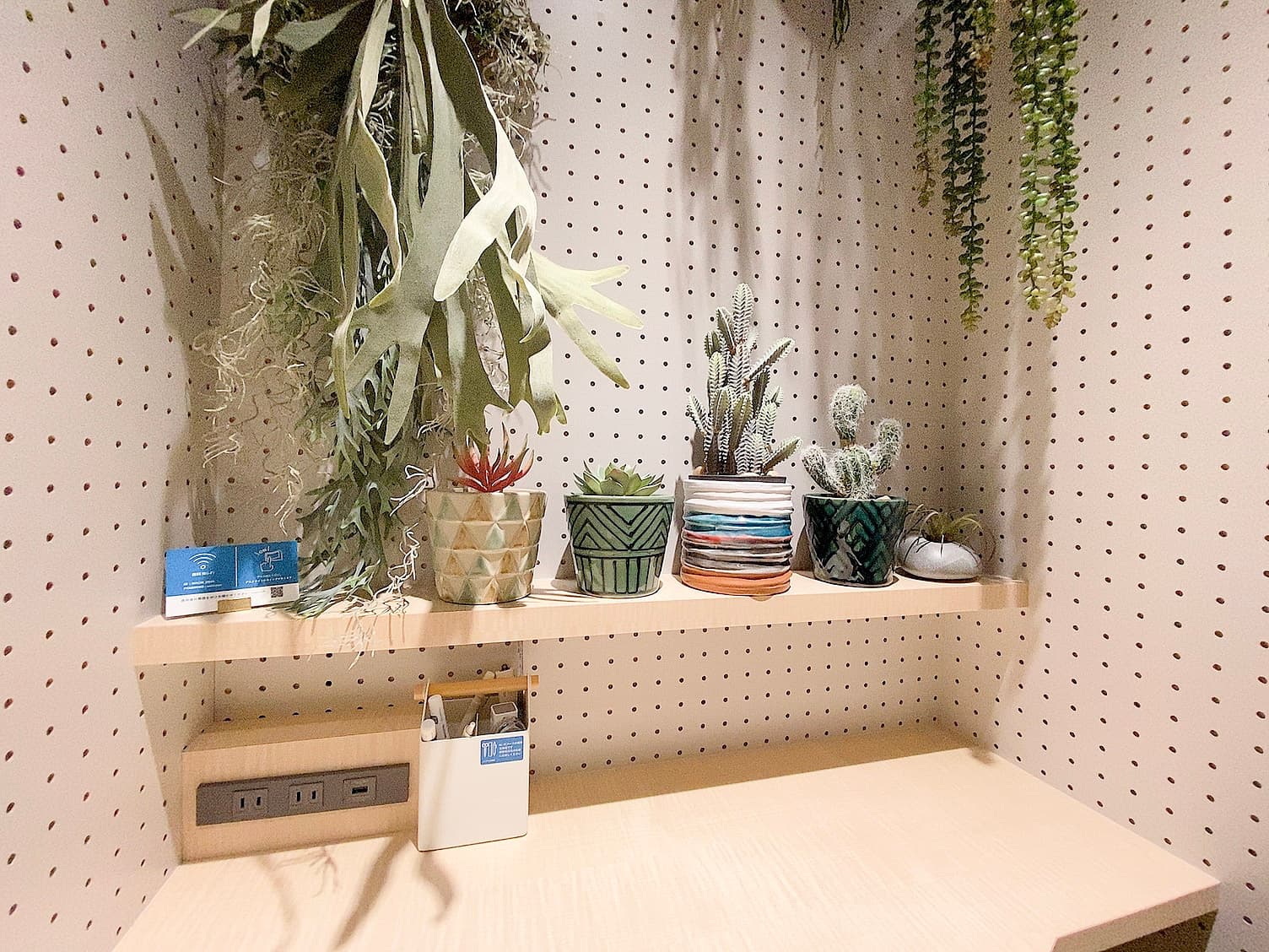 スペース画像 7