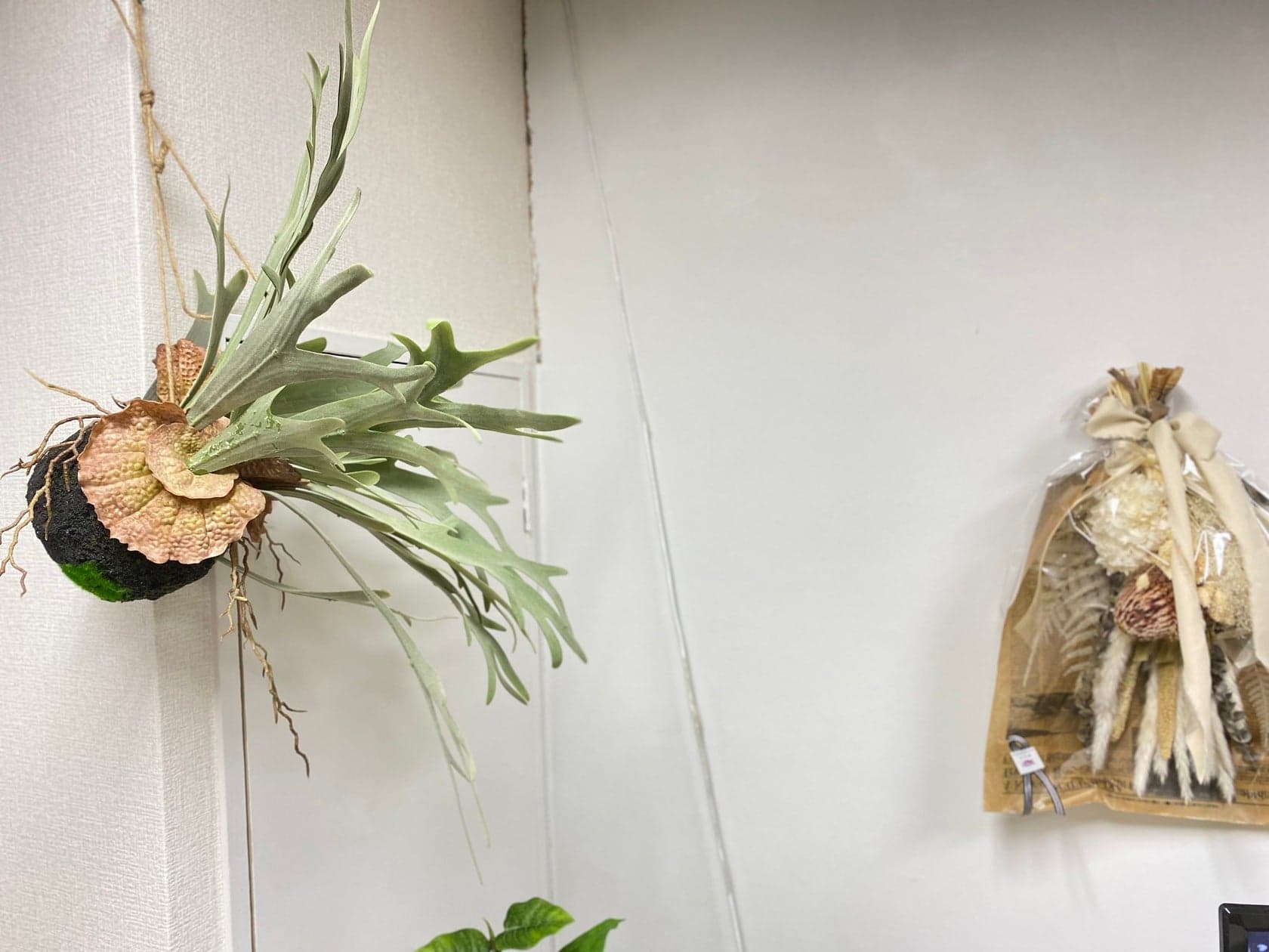 スペース画像 8