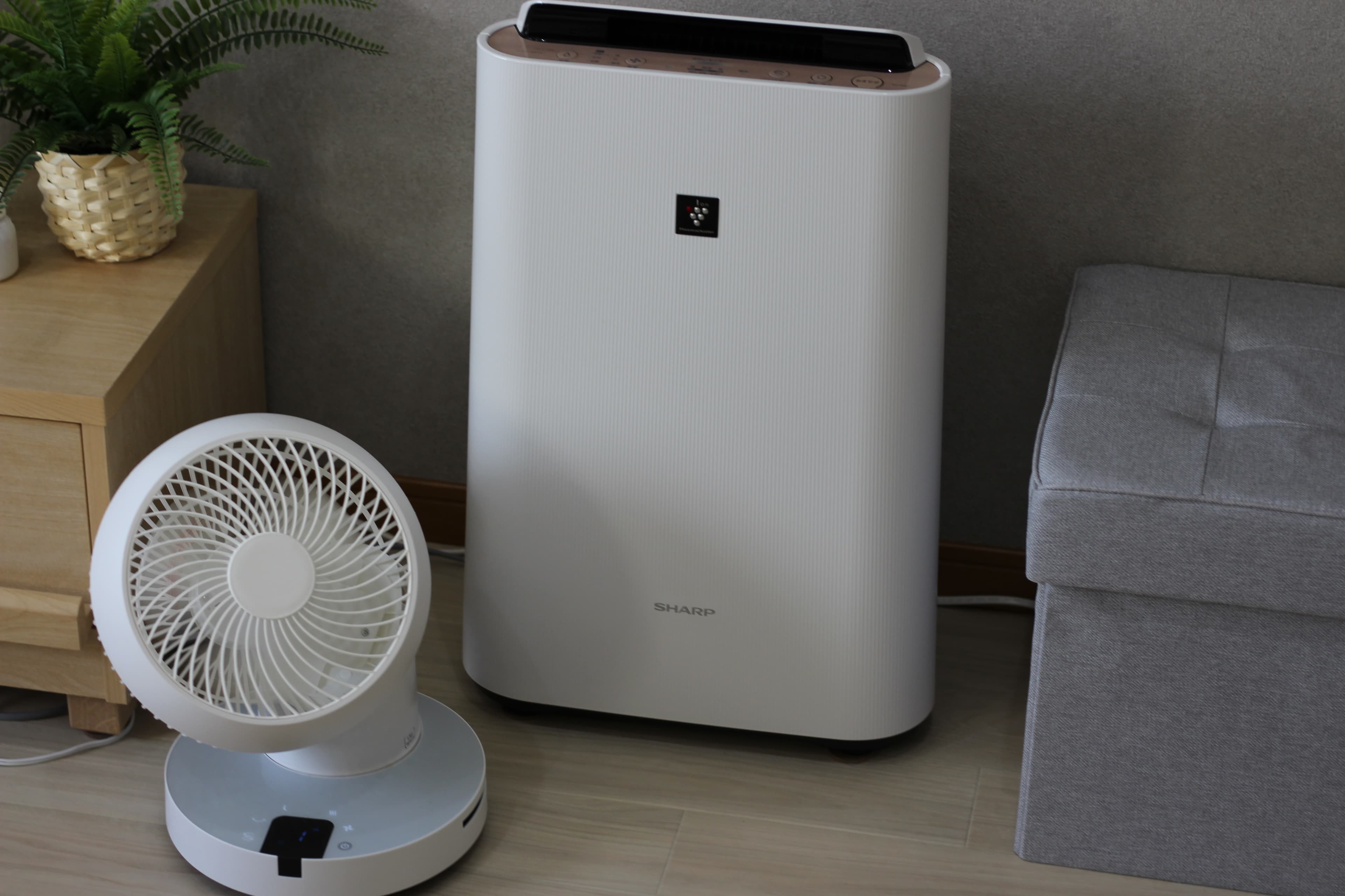 スペース画像 8