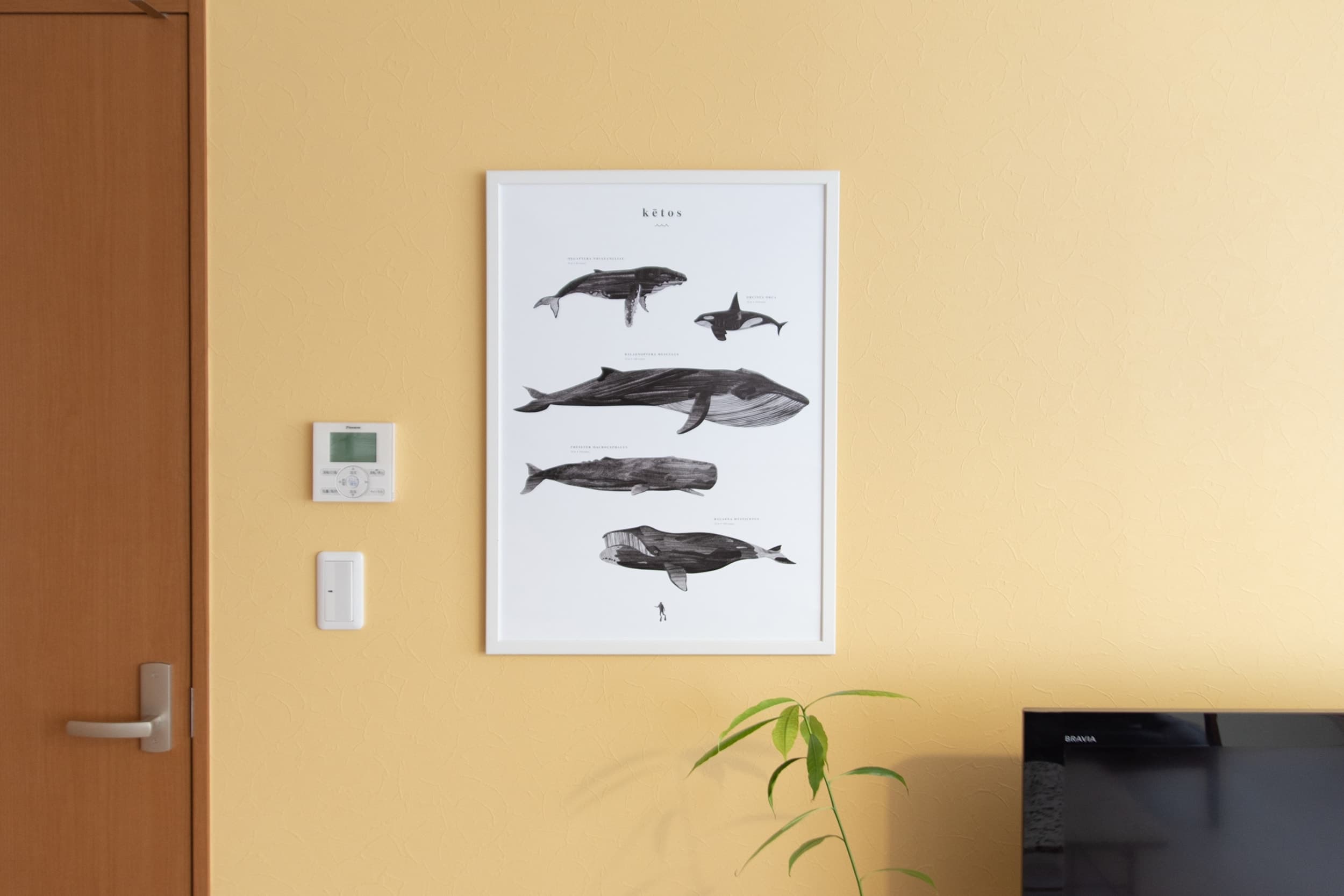 スペース画像 11