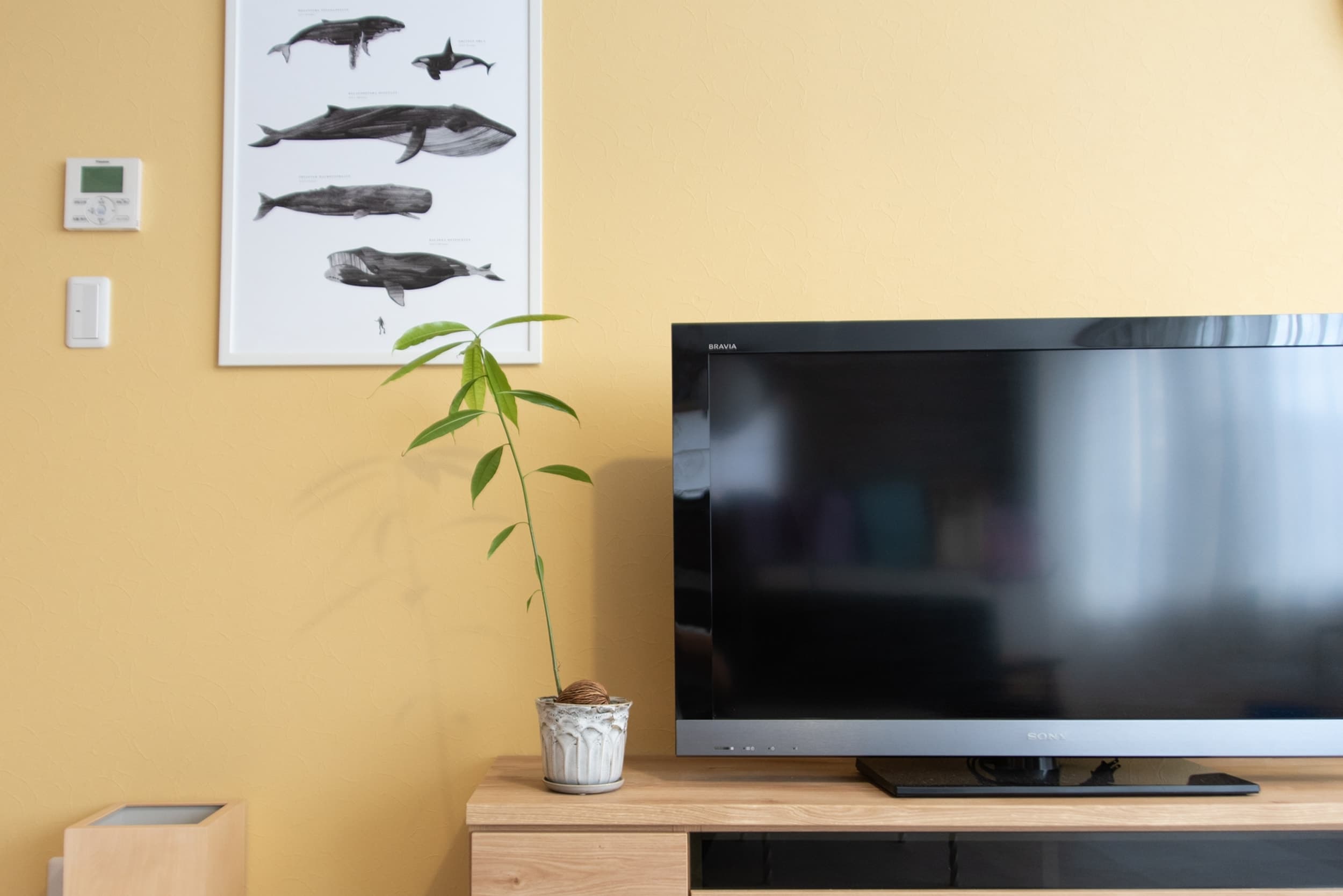 スペース画像 12