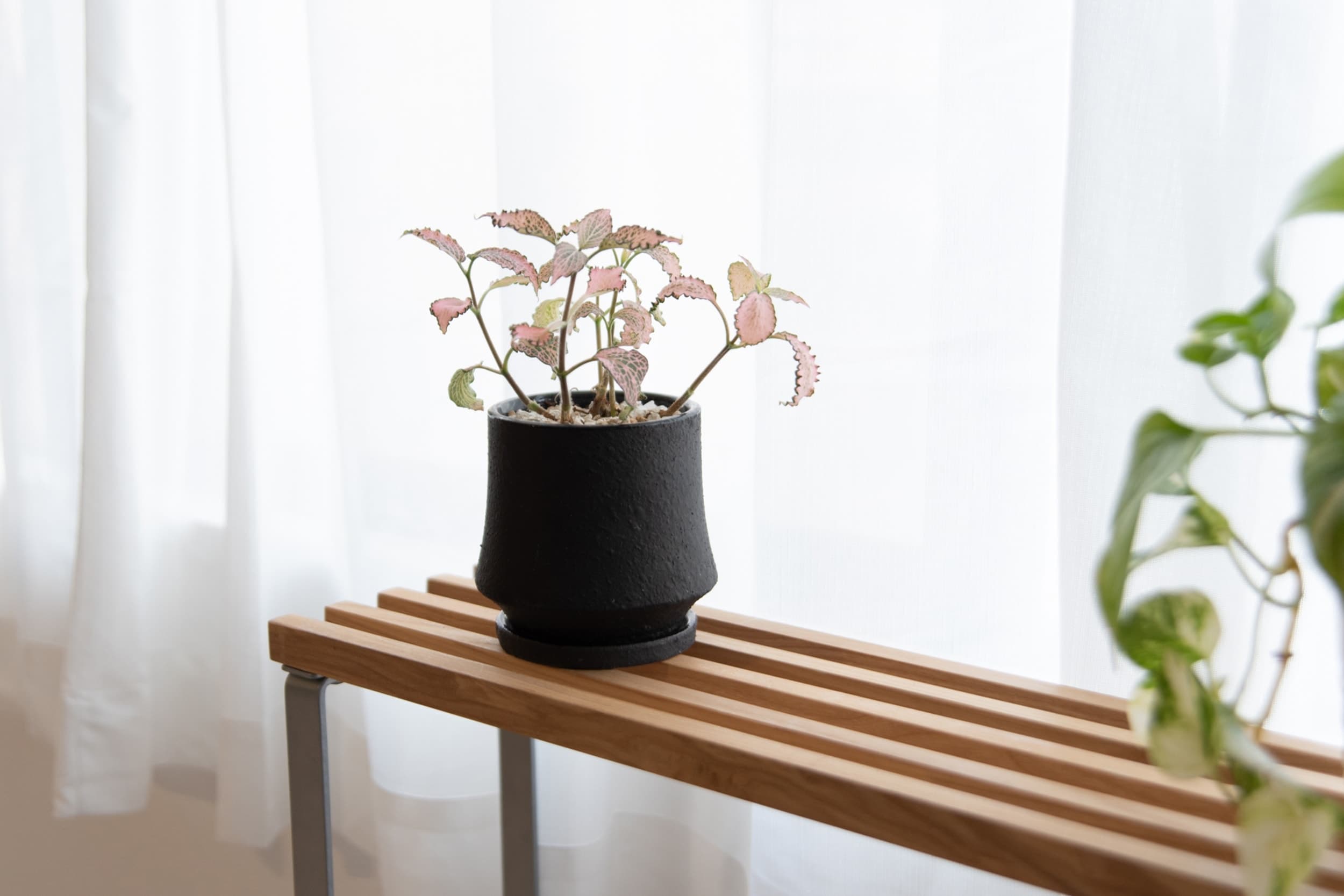 スペース画像 15