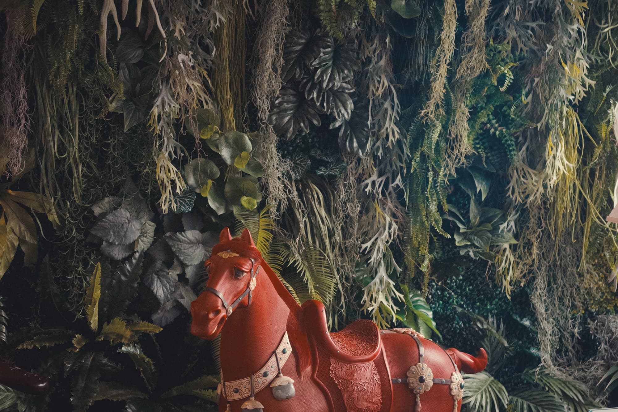 スペース画像 4