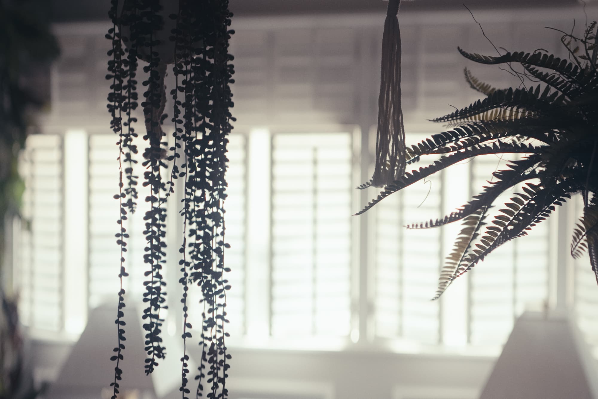 スペース画像 10