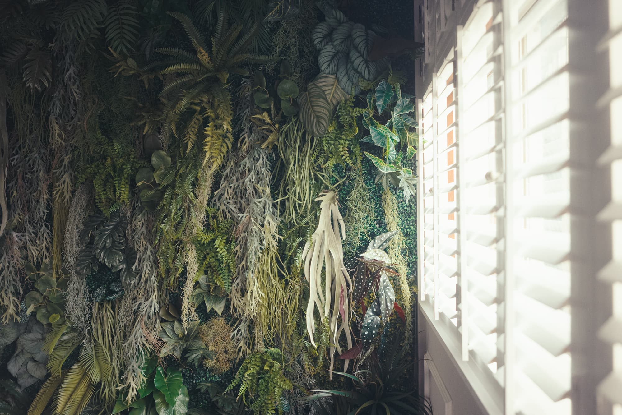 スペース画像 11