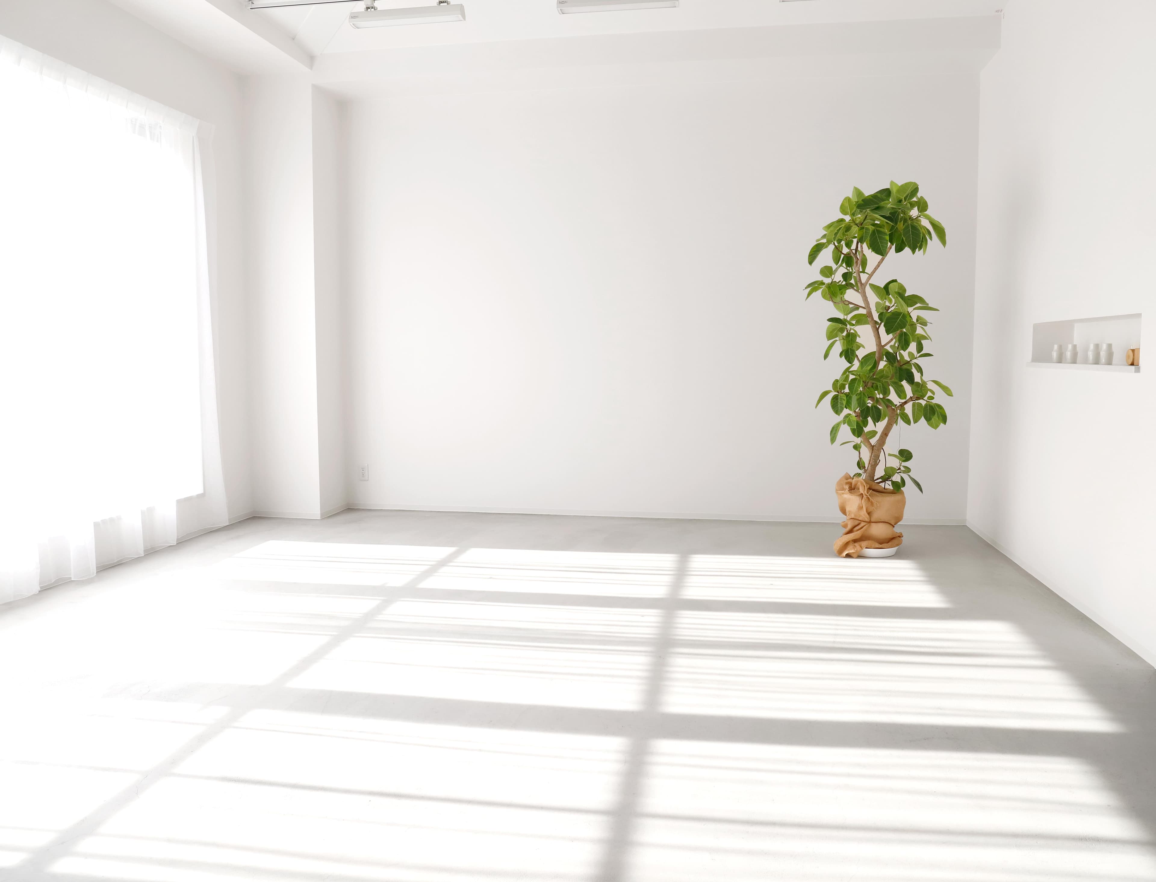 カーテンを利用することで 西日が程よく入ります。