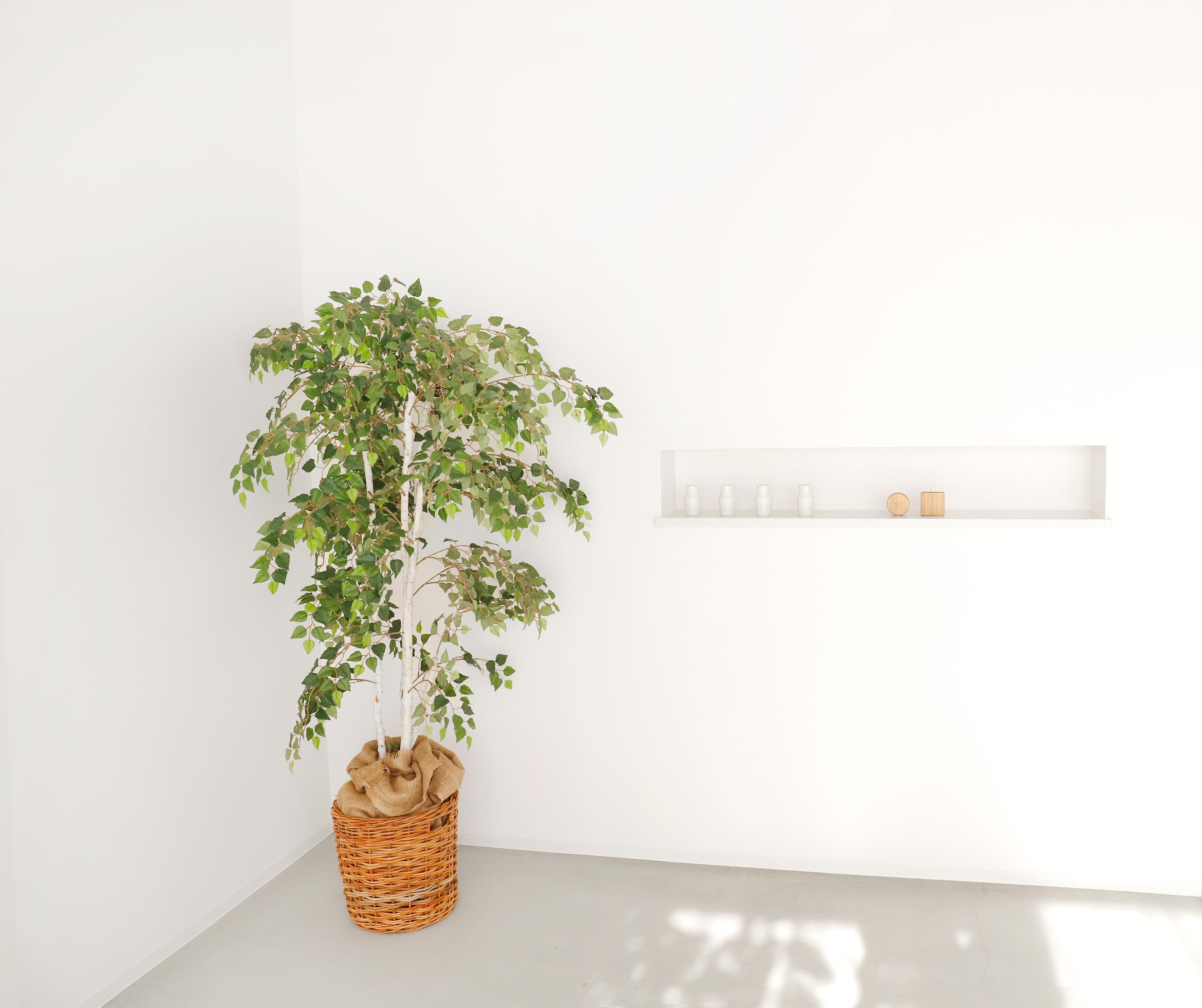 ニッチに小物が置けるので雰囲気作りに活用頂けます。