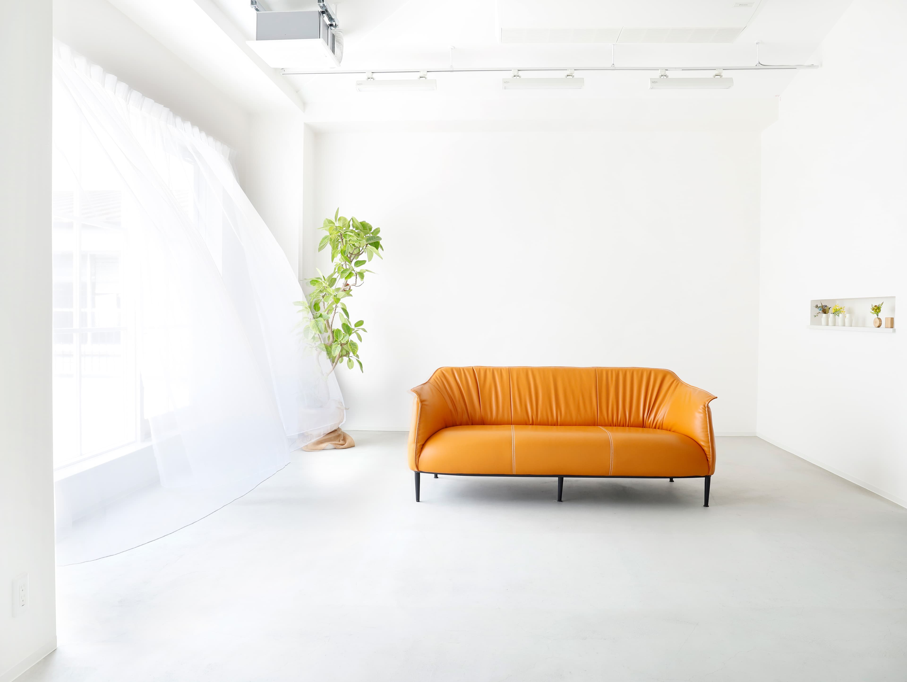 西側の大きな窓は自然光がたっぷり入ります。