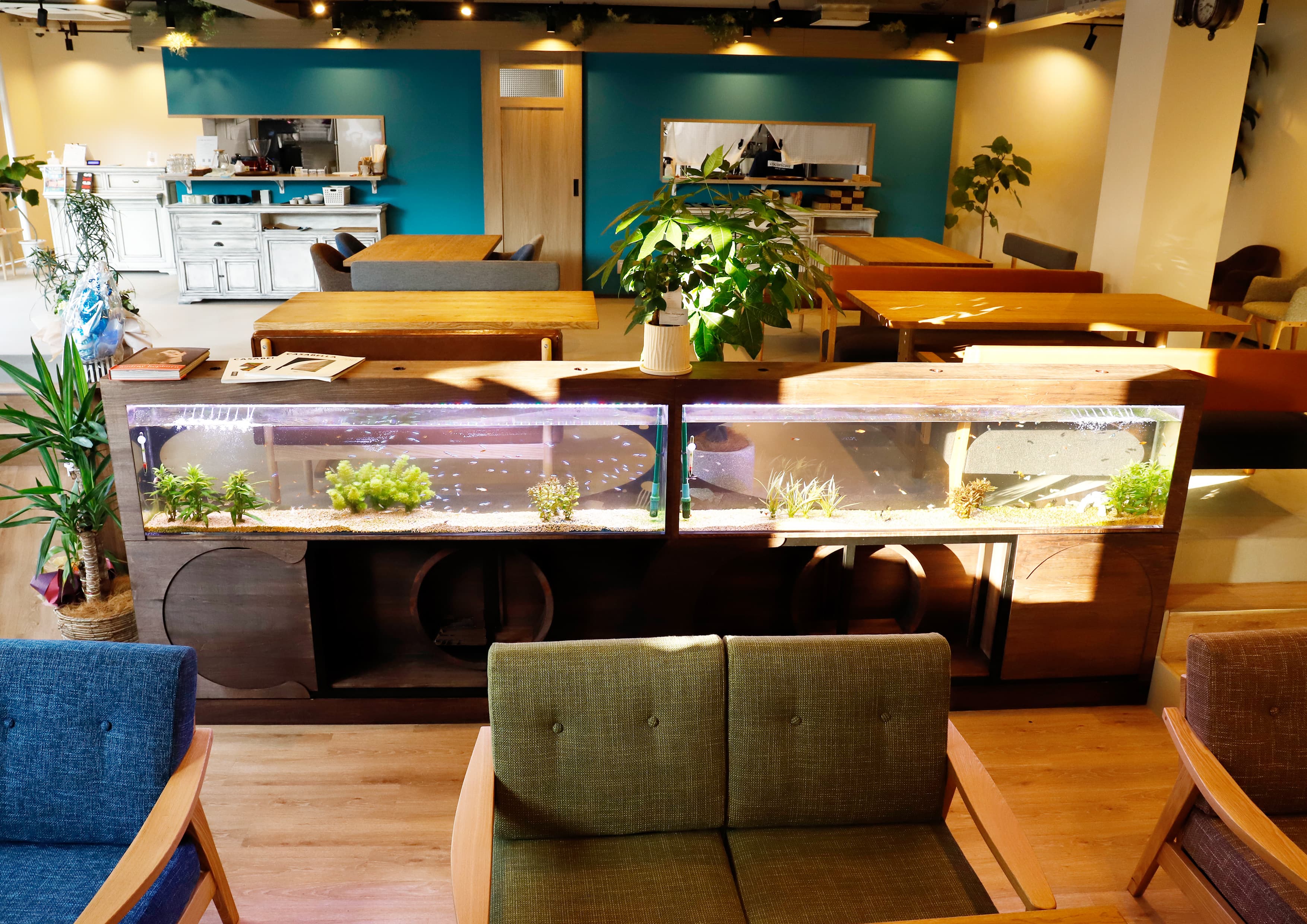 店内にある2つの大きな水槽。