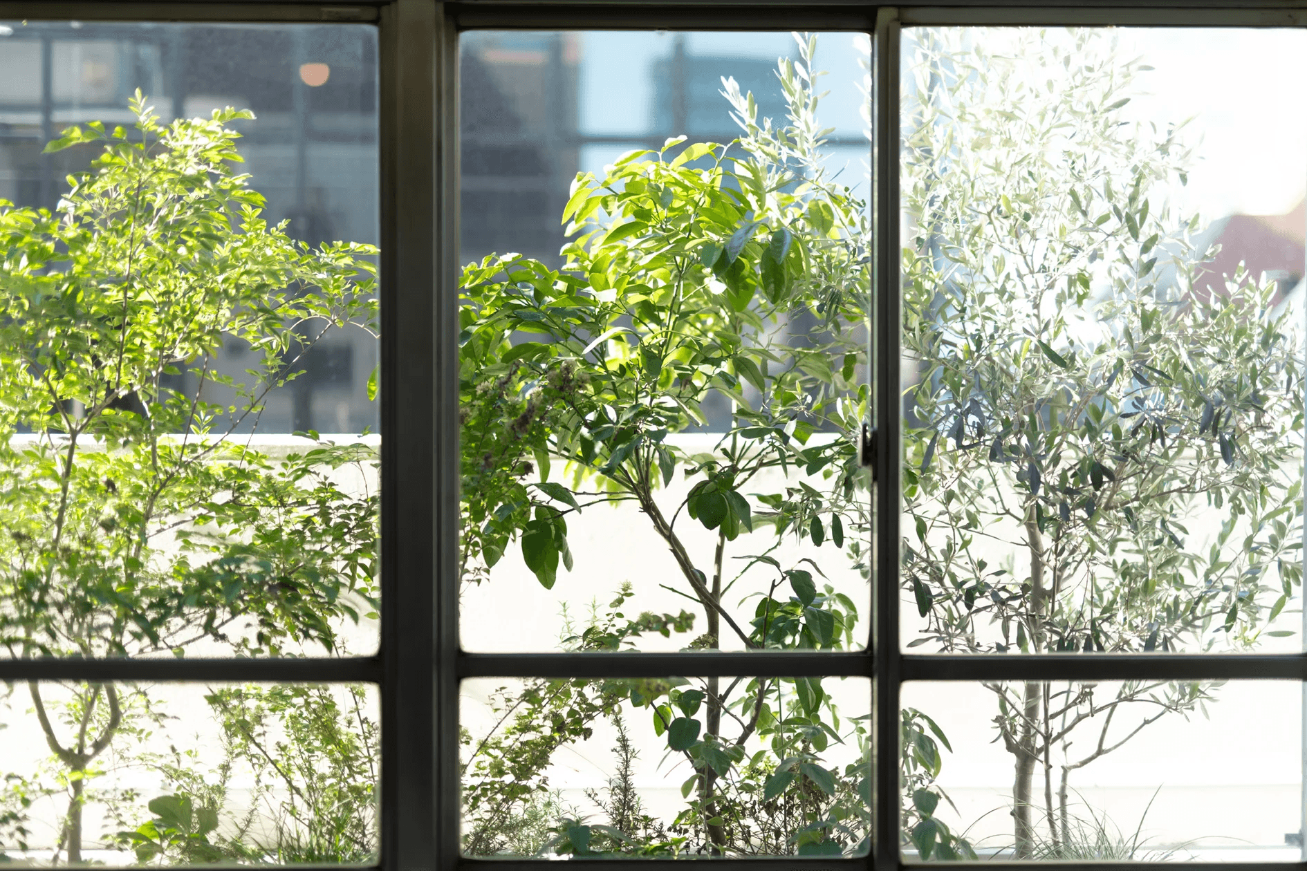 スペース画像 14