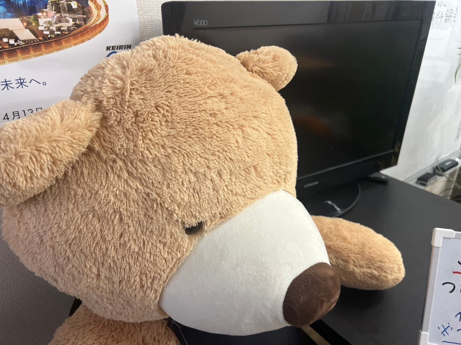 癒しのくまさんもいます