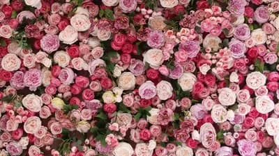 スペース画像 6