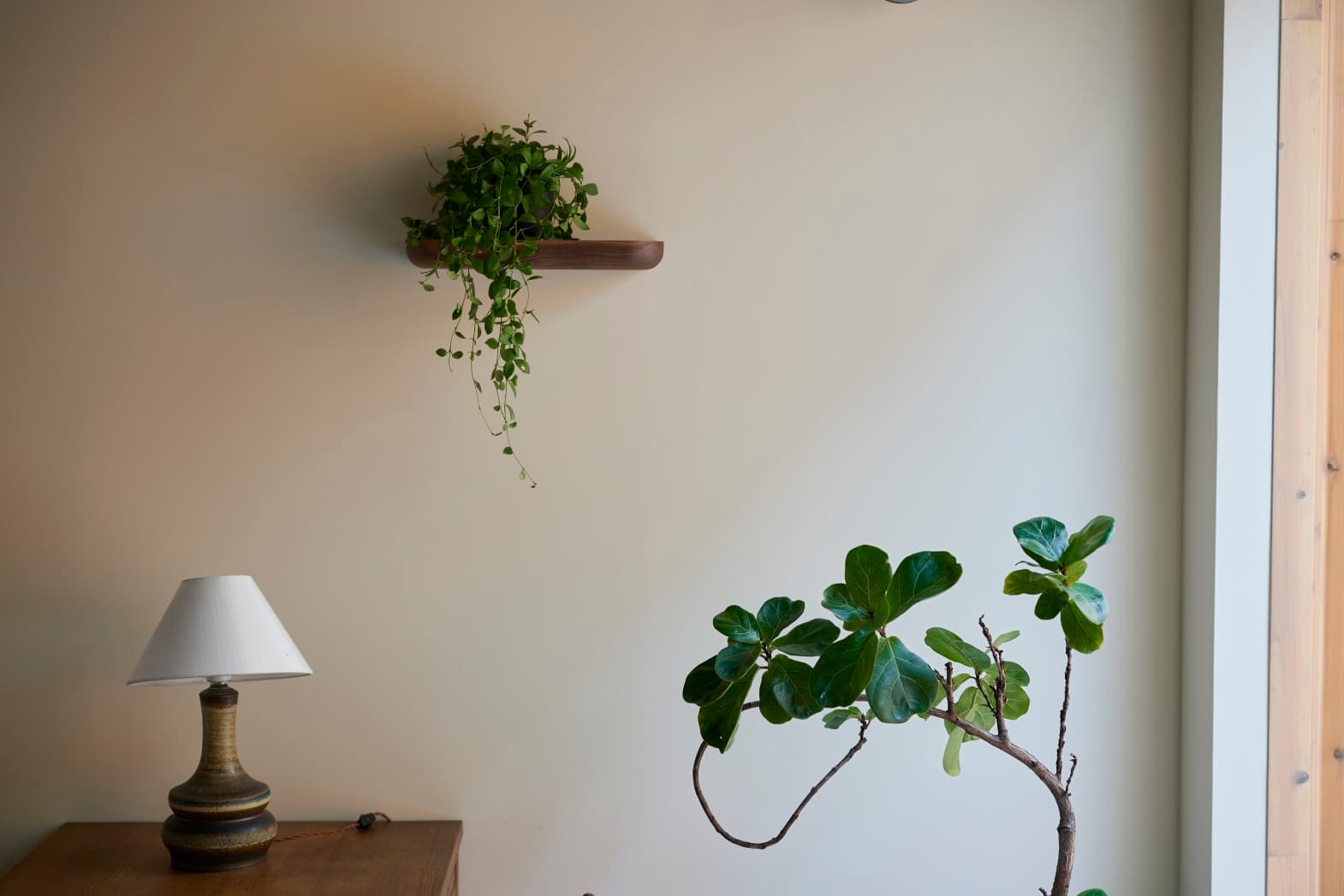 スペース画像 12