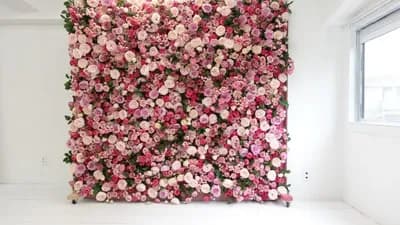 スペース画像 4