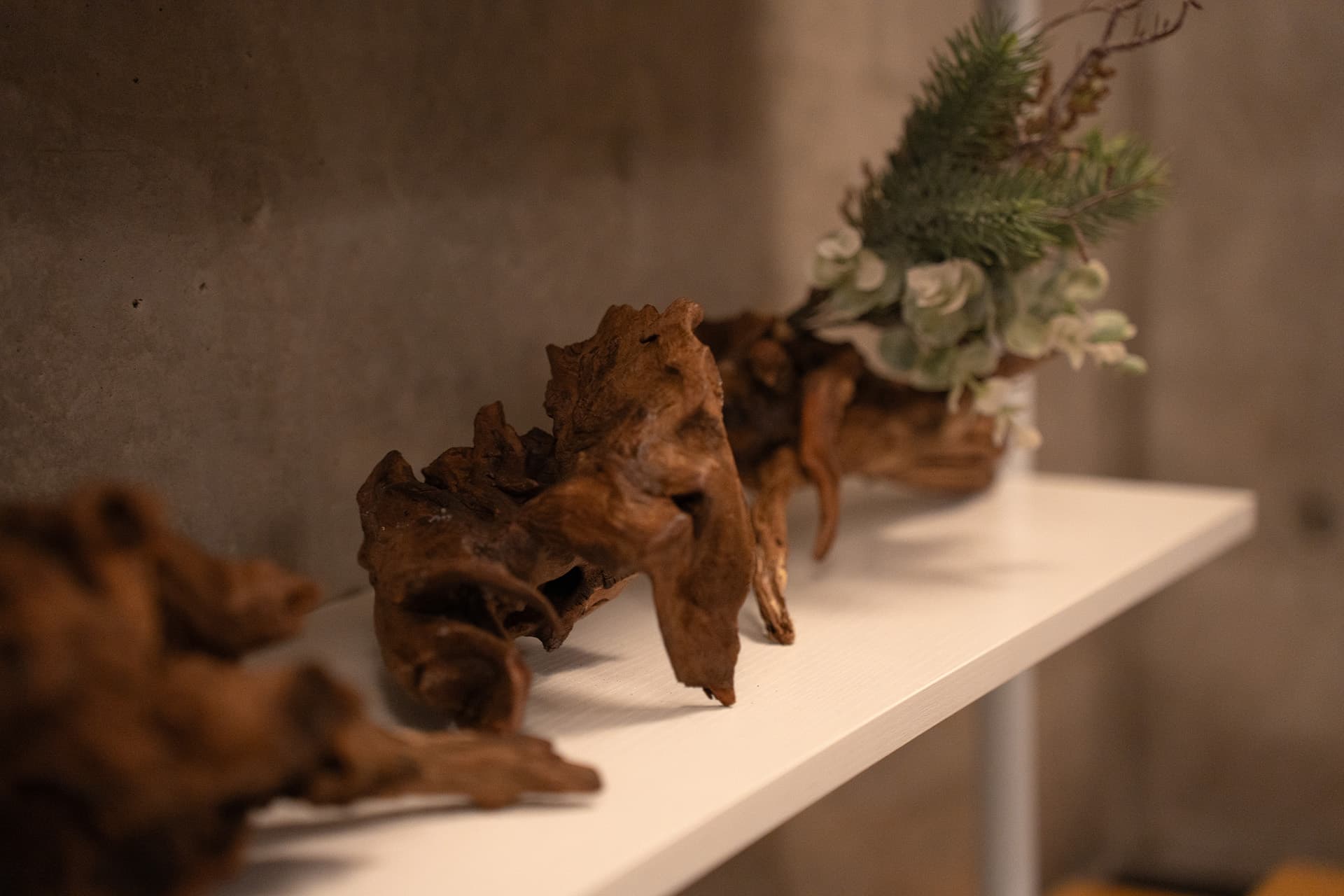 撮影やディスプレイに使える流木オブジェ。空間のアクセントとして、雰囲気作りに役立ちます。