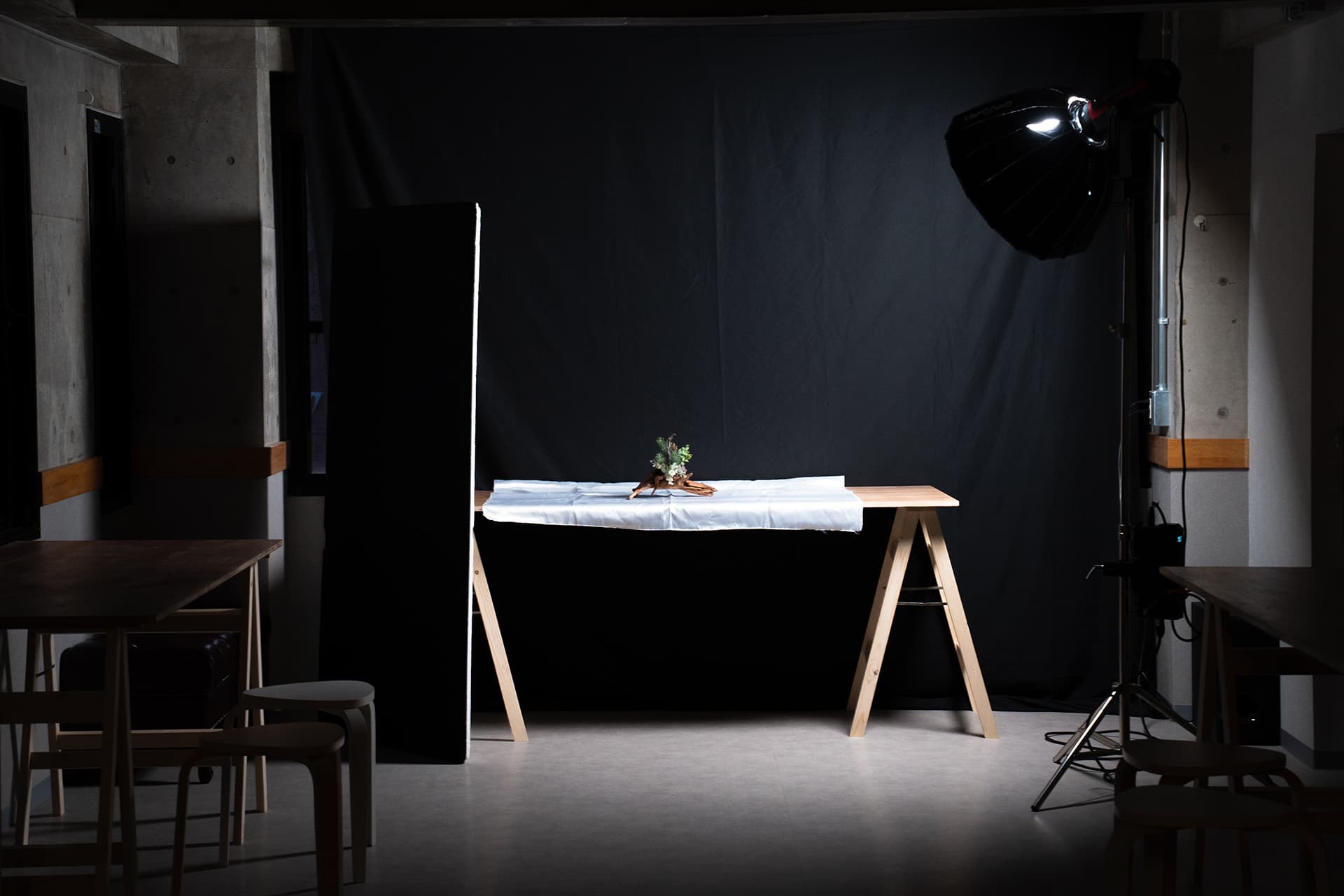 背景紙とプロ仕様の照明機材を使用した撮影イメージ。本格的な物撮りやポートレートに対応します。