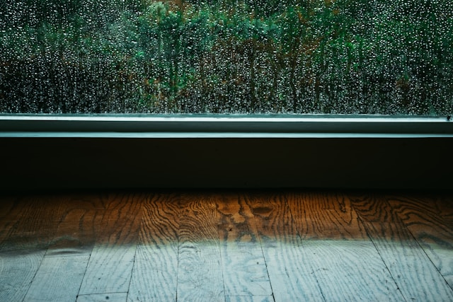 雨粒がしたたる窓の向こうに見える緑の植物
