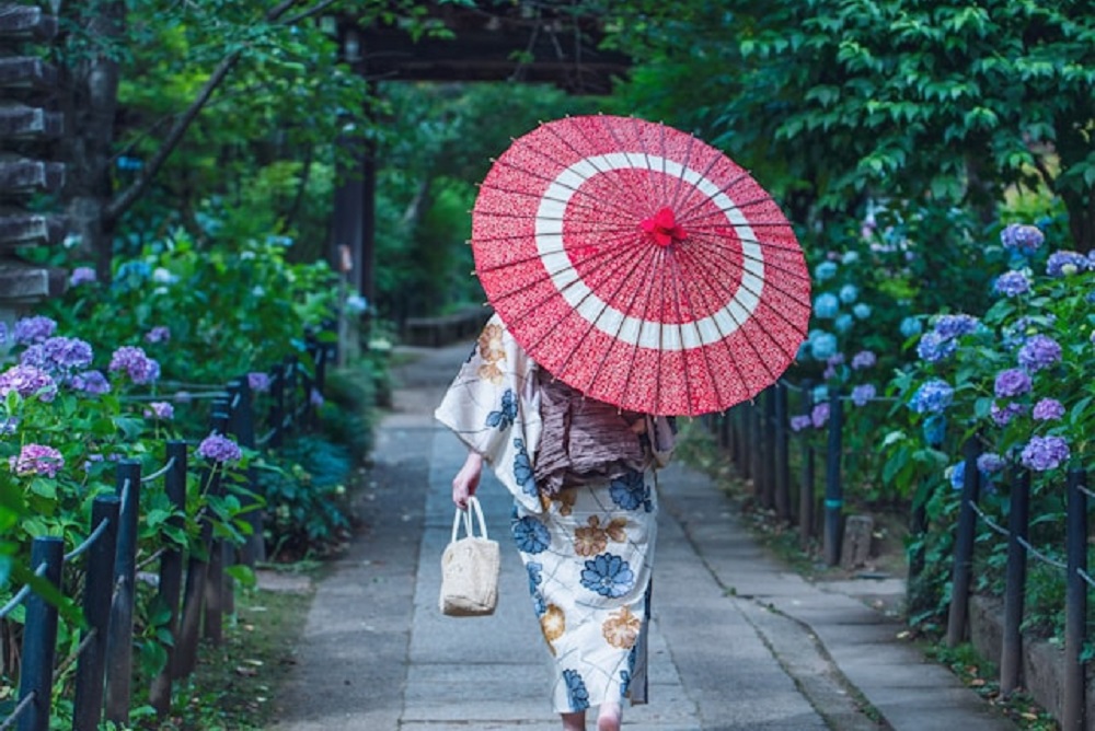 和傘をさして浴衣姿で紫陽花の咲く庭を歩く女性