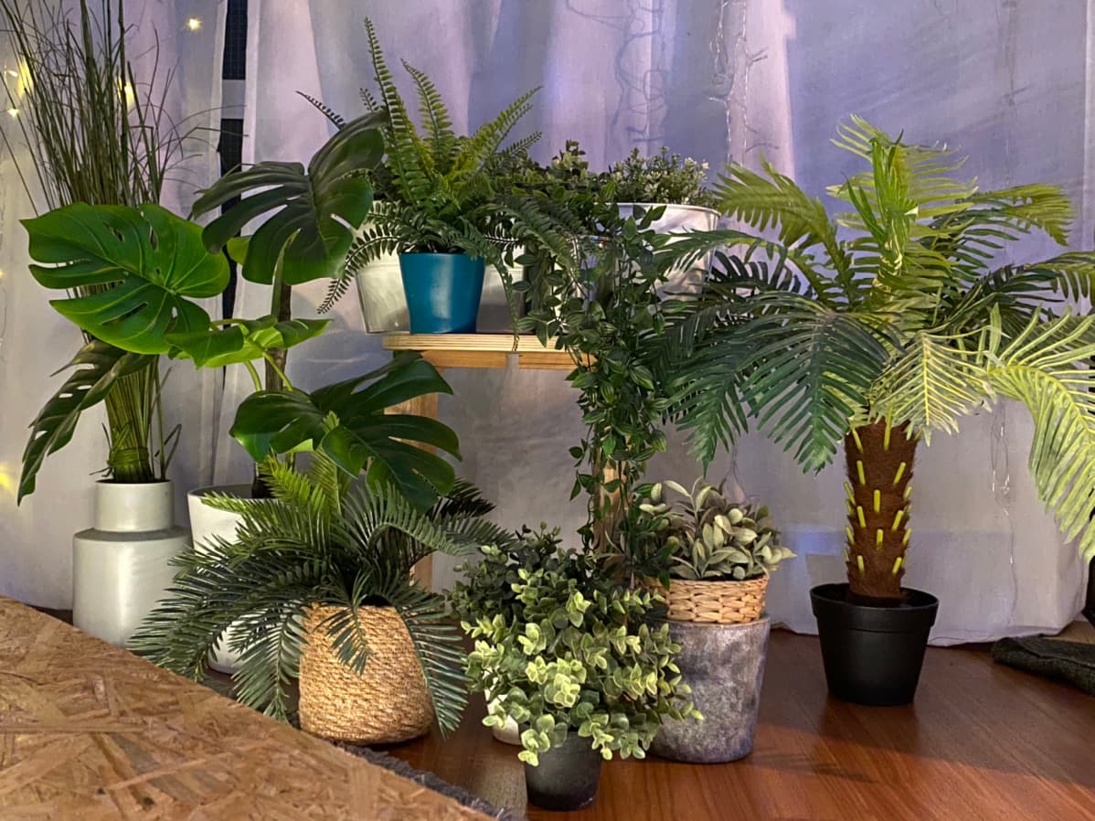 スペース画像 14