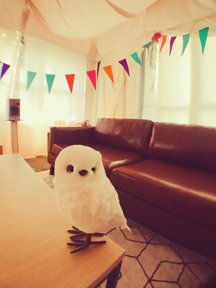 スペース画像 23