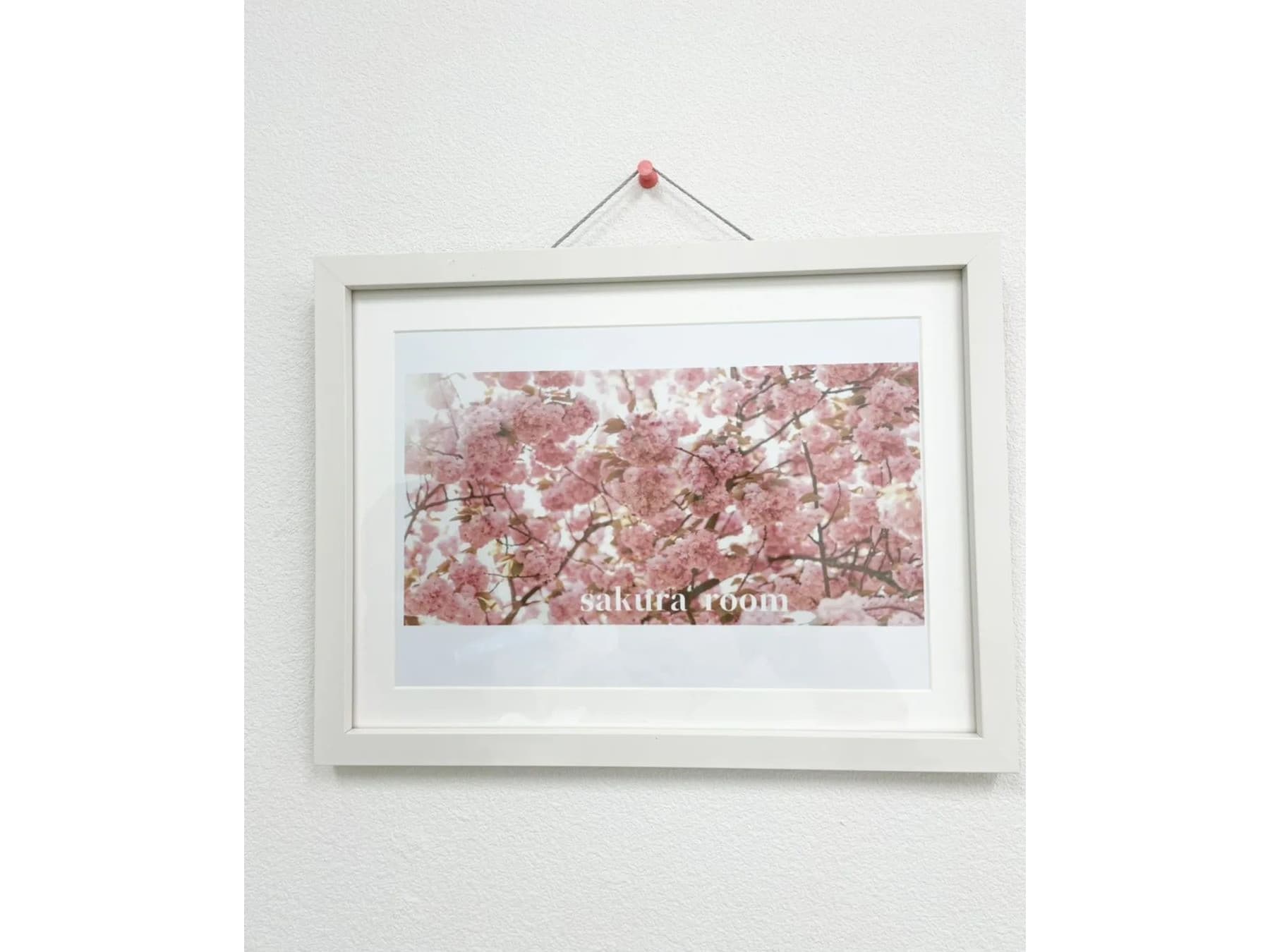 スペース画像 7